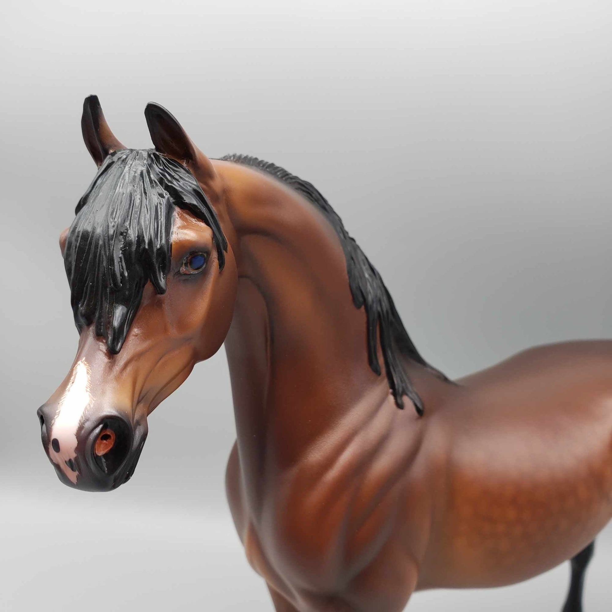 Curtiss OOAK Dappled Bay Arab Stallion By Caroline Boydston Best Offer 11/13/23