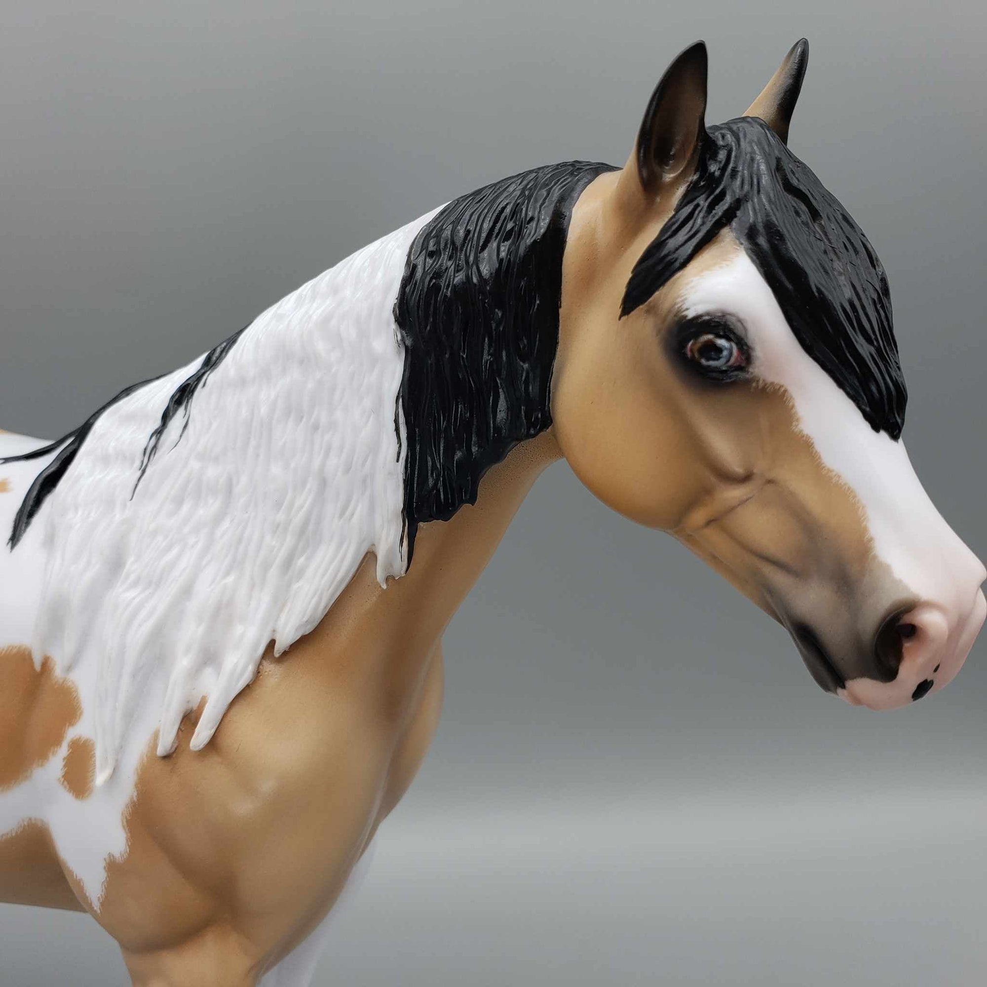 Wrangler-Ideal Stock Horse By Carrie Keller for AoTH23 Best Offers