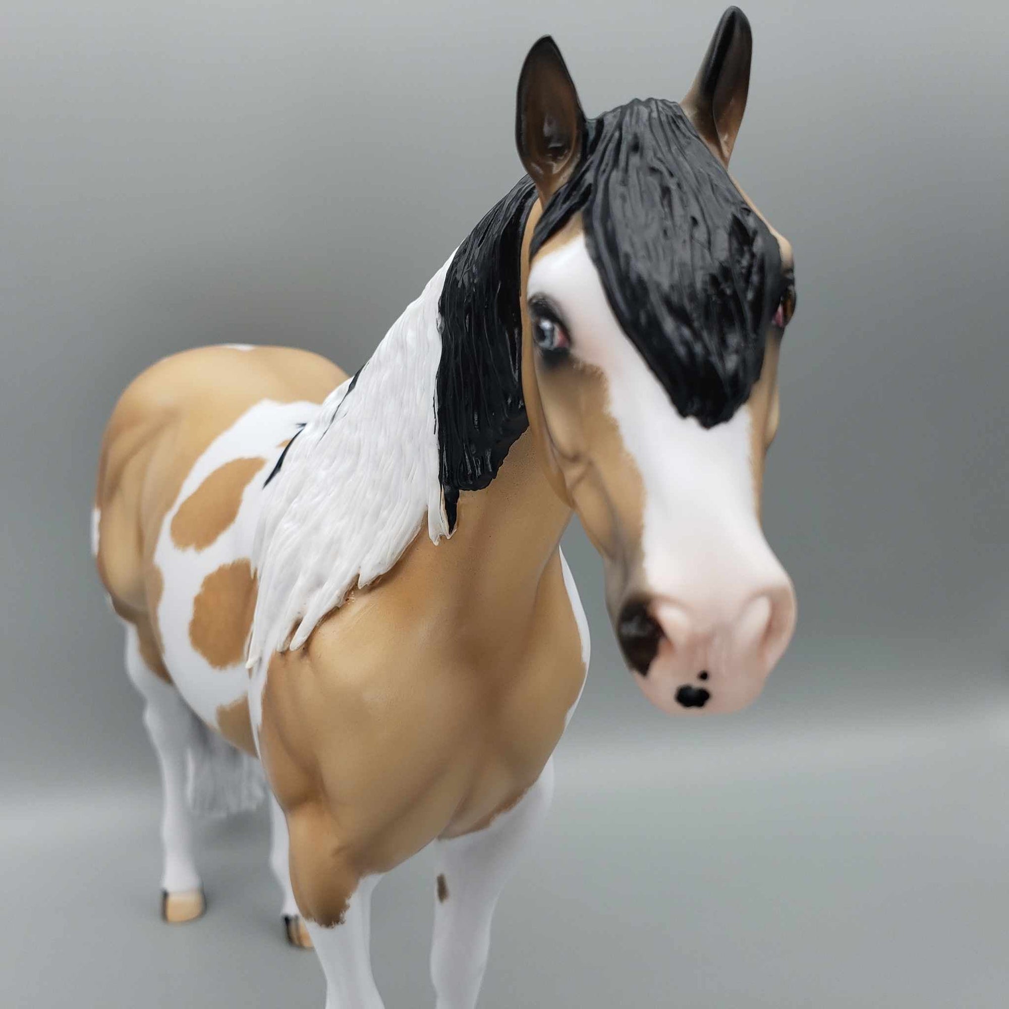 Wrangler-Ideal Stock Horse By Carrie Keller for AoTH23 Best Offers