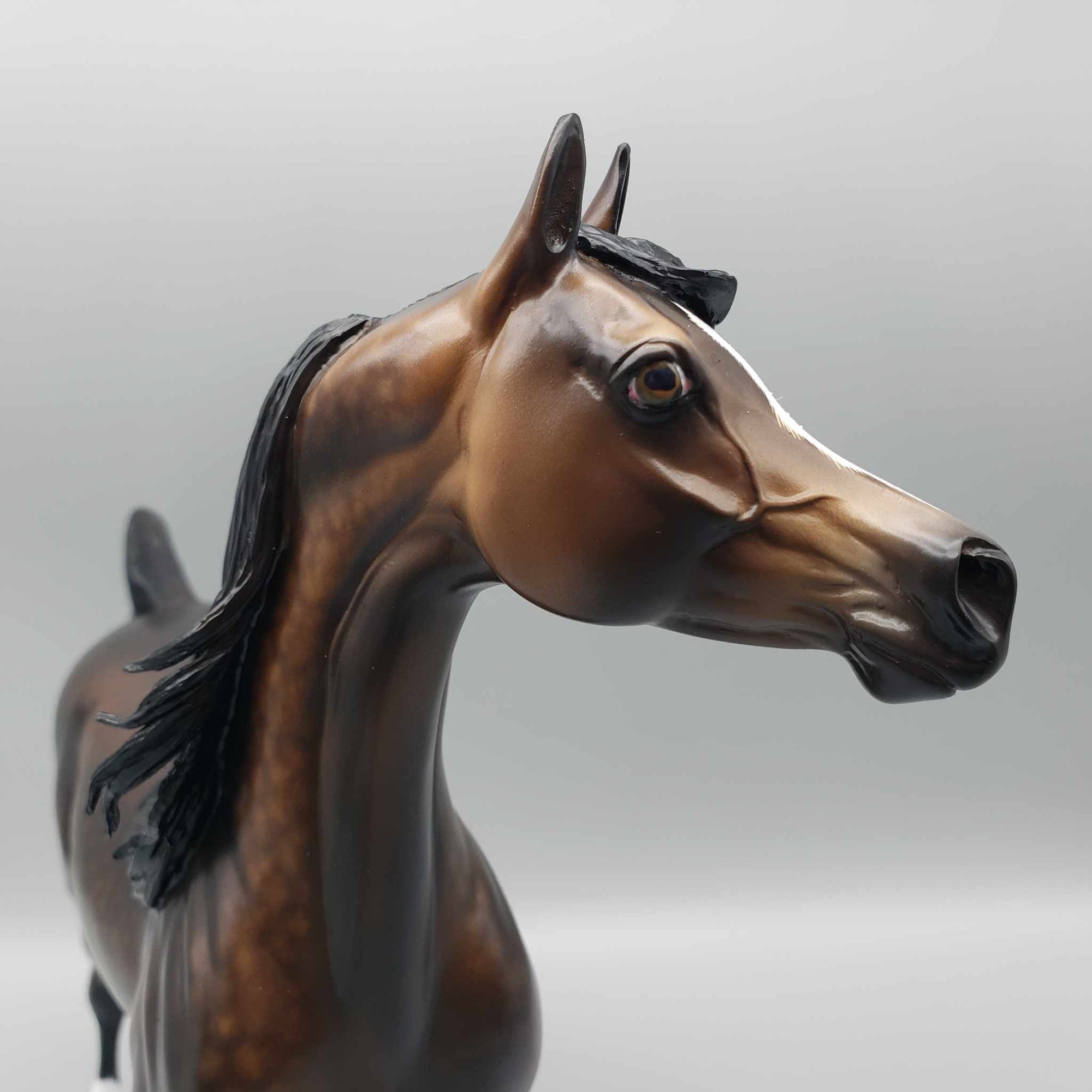 Chocotastic OOAK Dappled Bay Arabian By Sheryl Leisure Best Offers 9/5/23