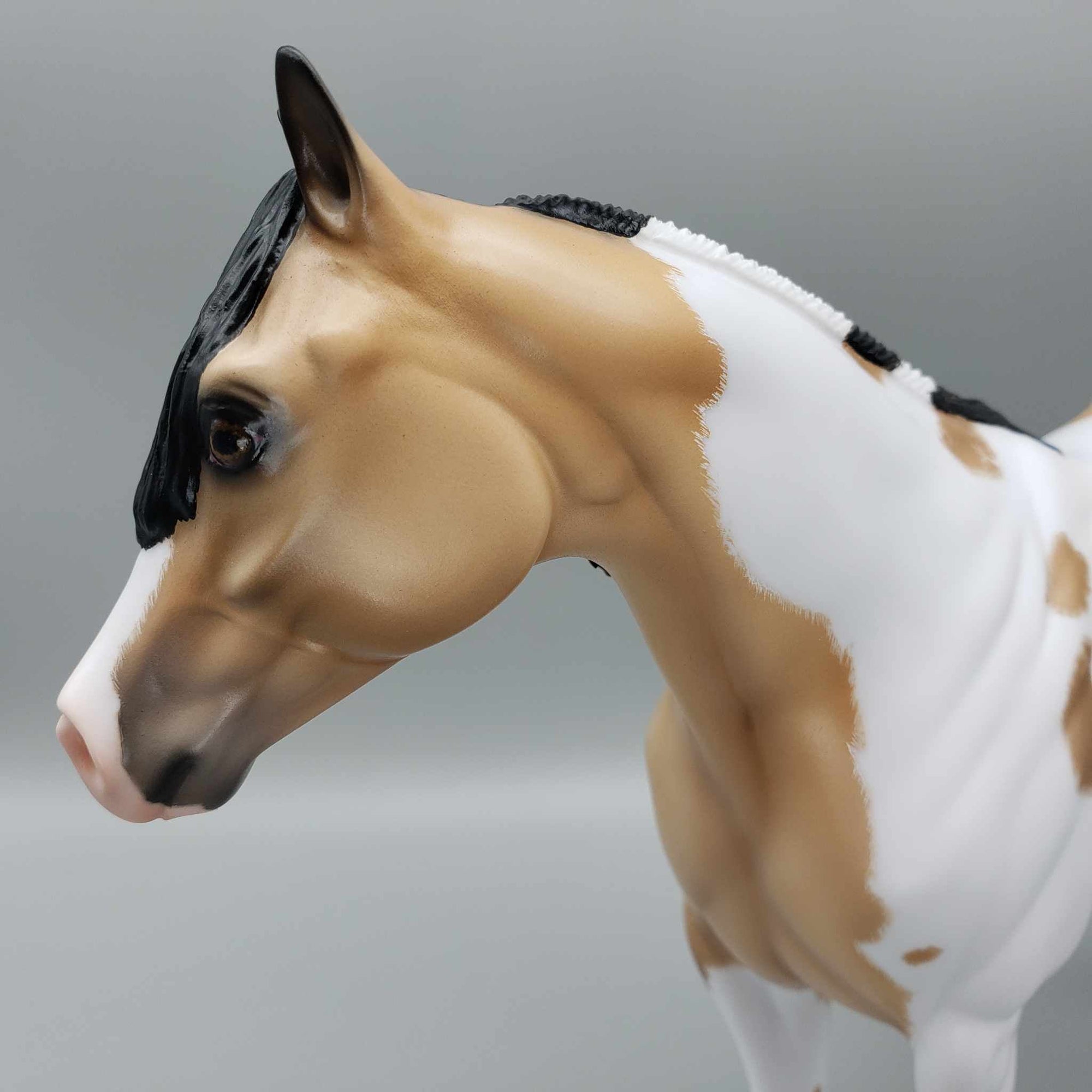 Wrangler-Ideal Stock Horse By Carrie Keller for AoTH23 Best Offers