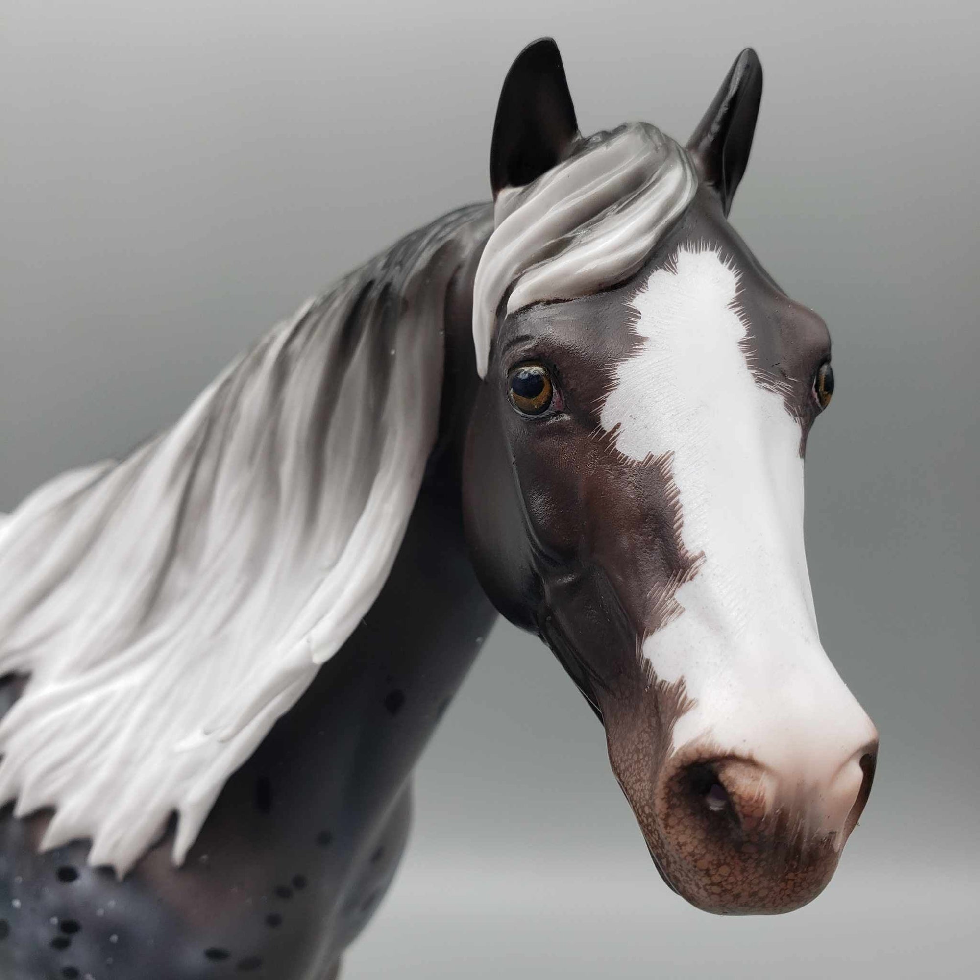 Usothe OOAK Appaloosa Ideal Stock Horse By Ellen Robbins for AoTH23 Best Offers