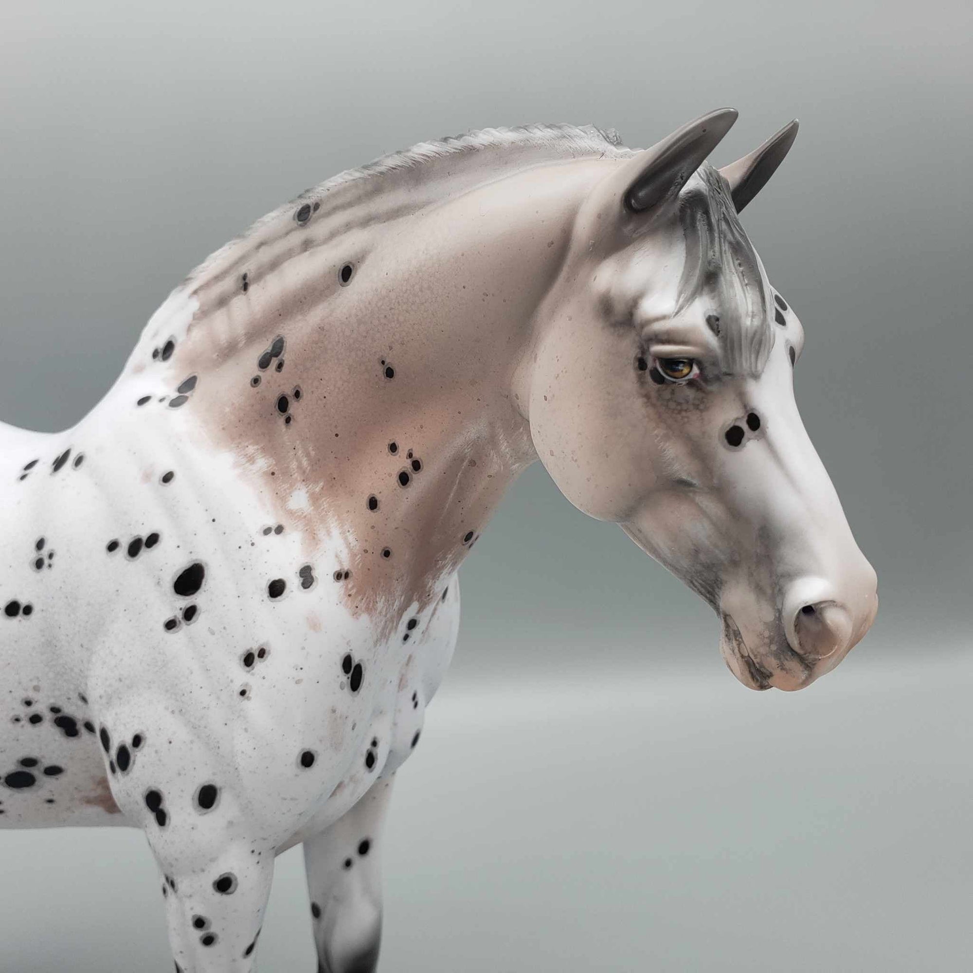 Chalice OOAK Noriker Appaloosa Heavy Draft By Jess Hamill Best Offers 9/5/23