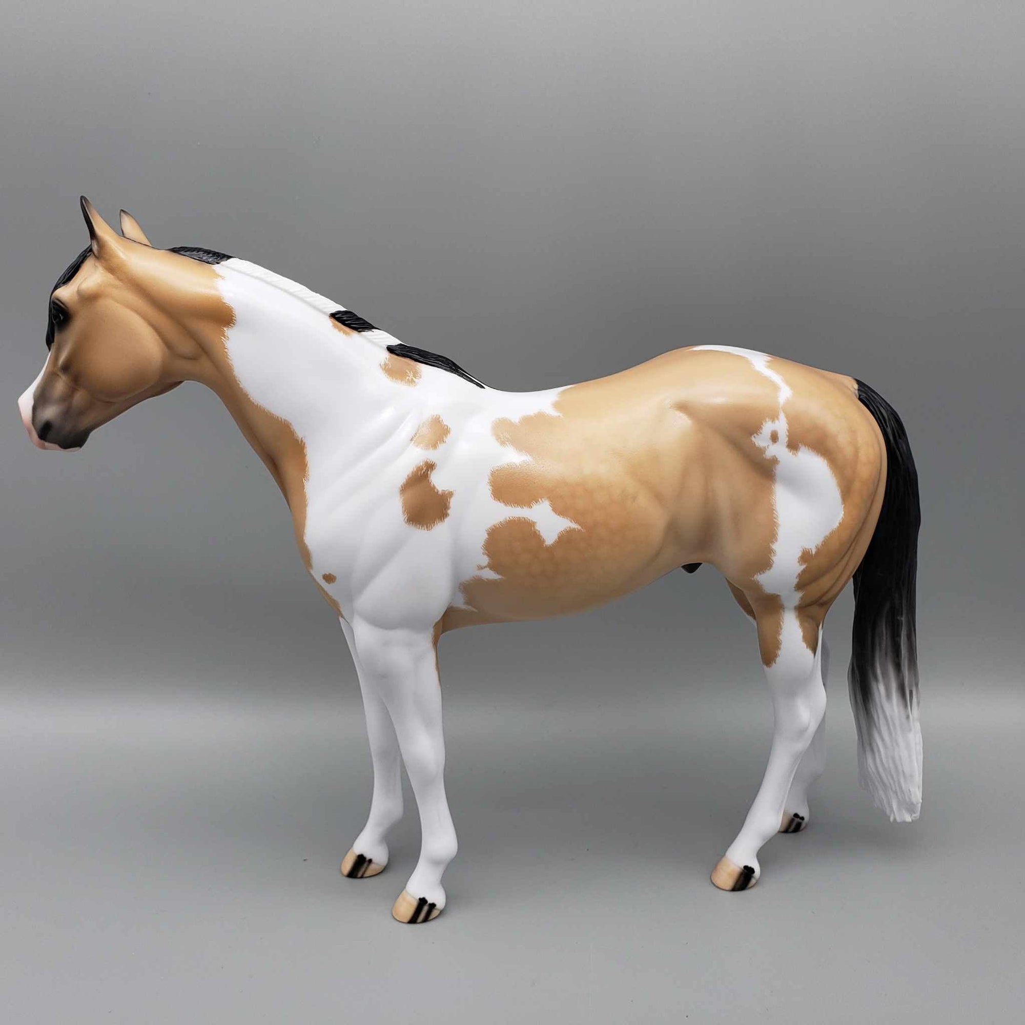 Wrangler-Ideal Stock Horse By Carrie Keller for AoTH23 Best Offers