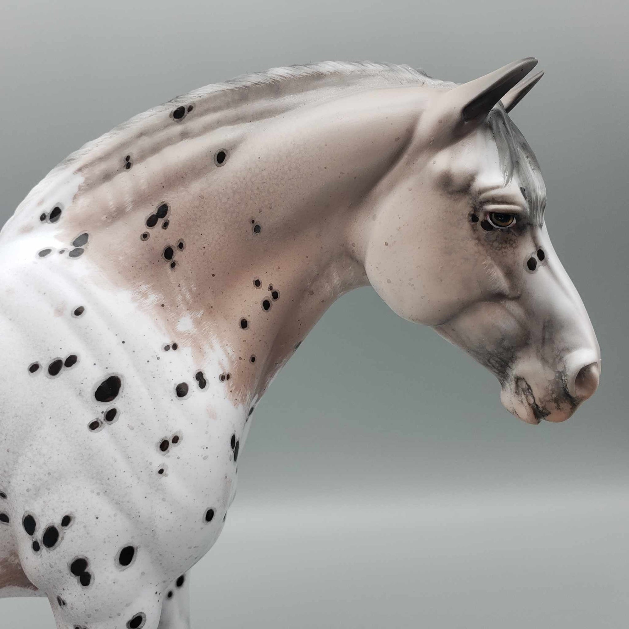 Chalice OOAK Noriker Appaloosa Heavy Draft By Jess Hamill Best Offers 9/5/23
