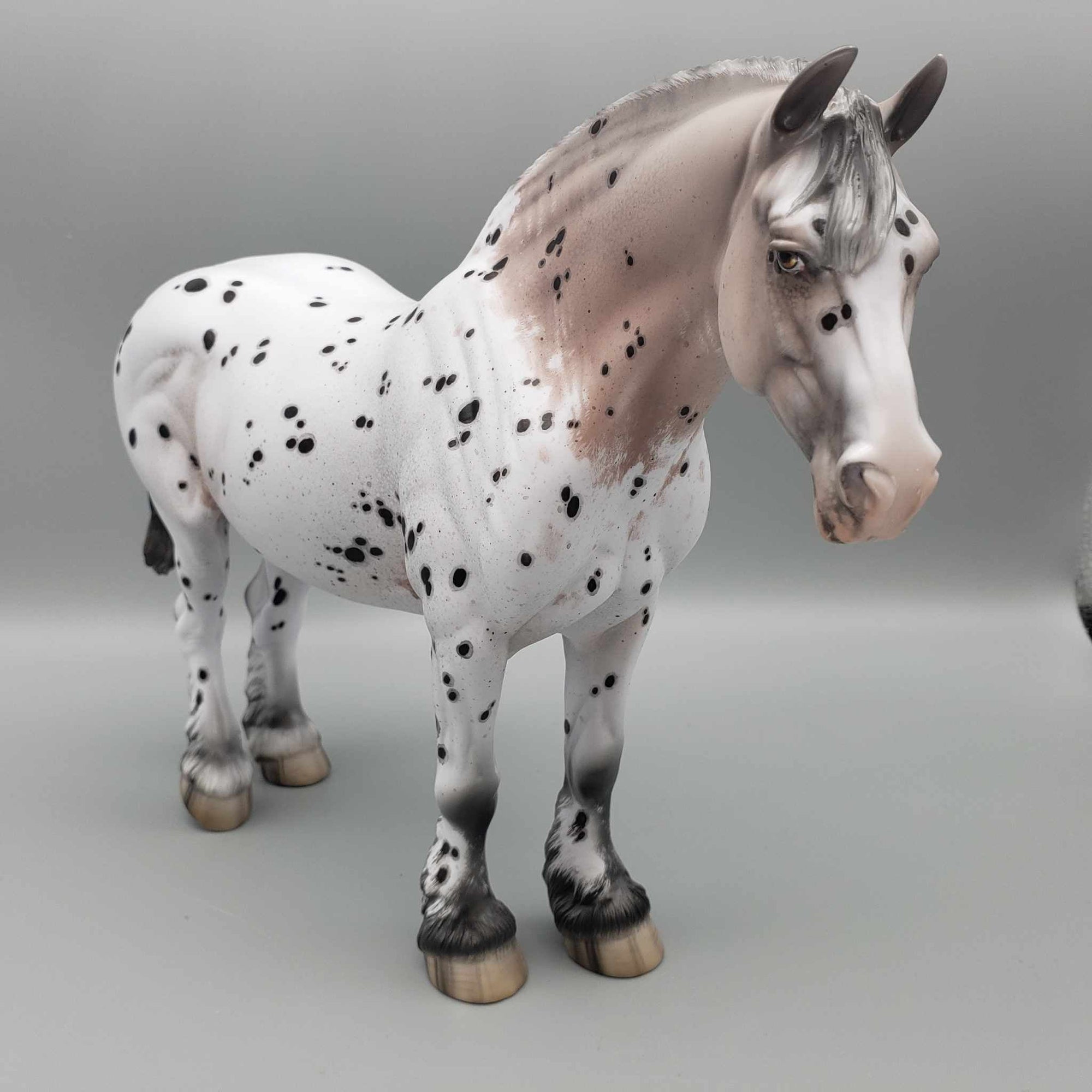 Chalice OOAK Noriker Appaloosa Heavy Draft By Jess Hamill Best Offers 9/5/23