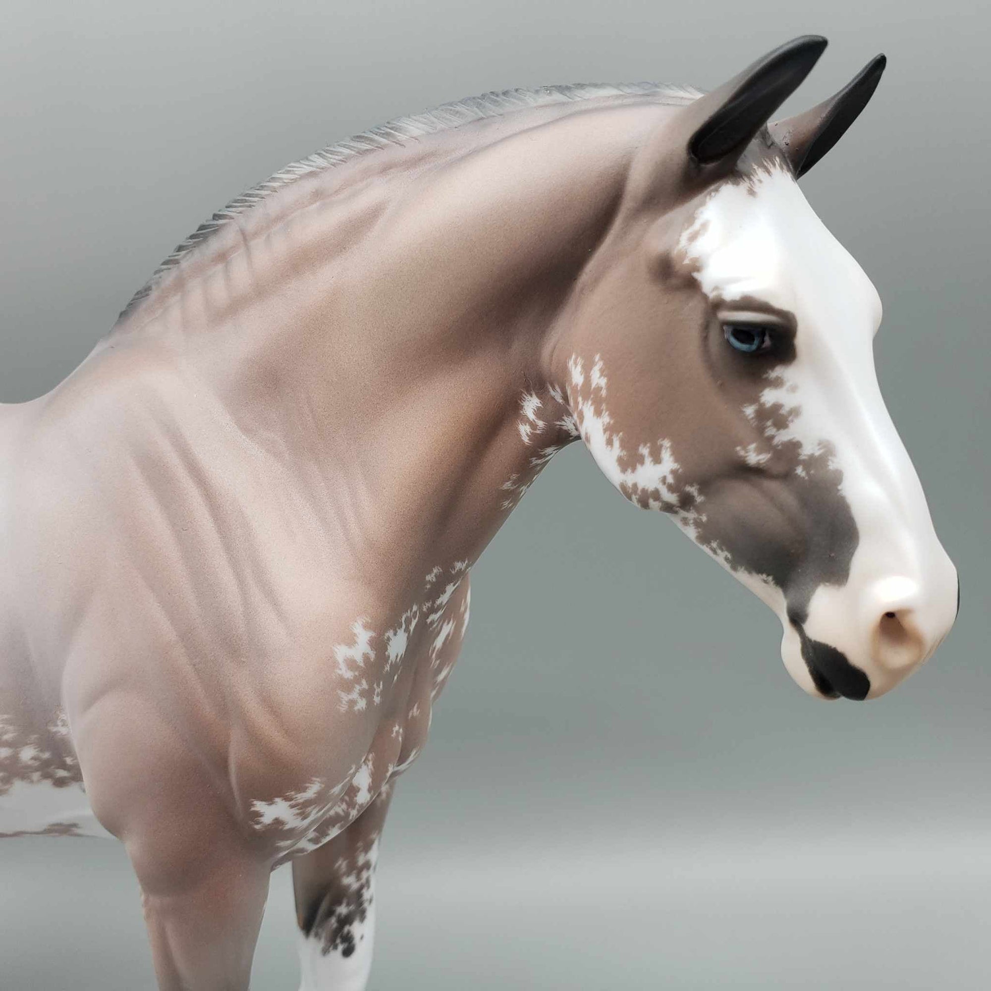 Anastasia OOAK Bay Sabino Heavy Draft By Jess Hamill Fall Facebook Auction 9/23