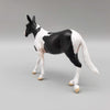 MINI Kloissonne LE10 Black Tobiano Mule Chip By Angela Marleau AoTH23