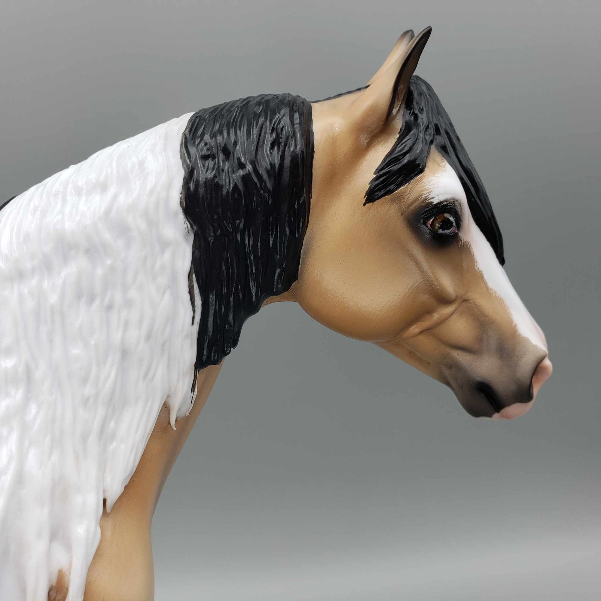 Wrangler-Ideal Stock Horse By Carrie Keller for AoTH23 Best Offers