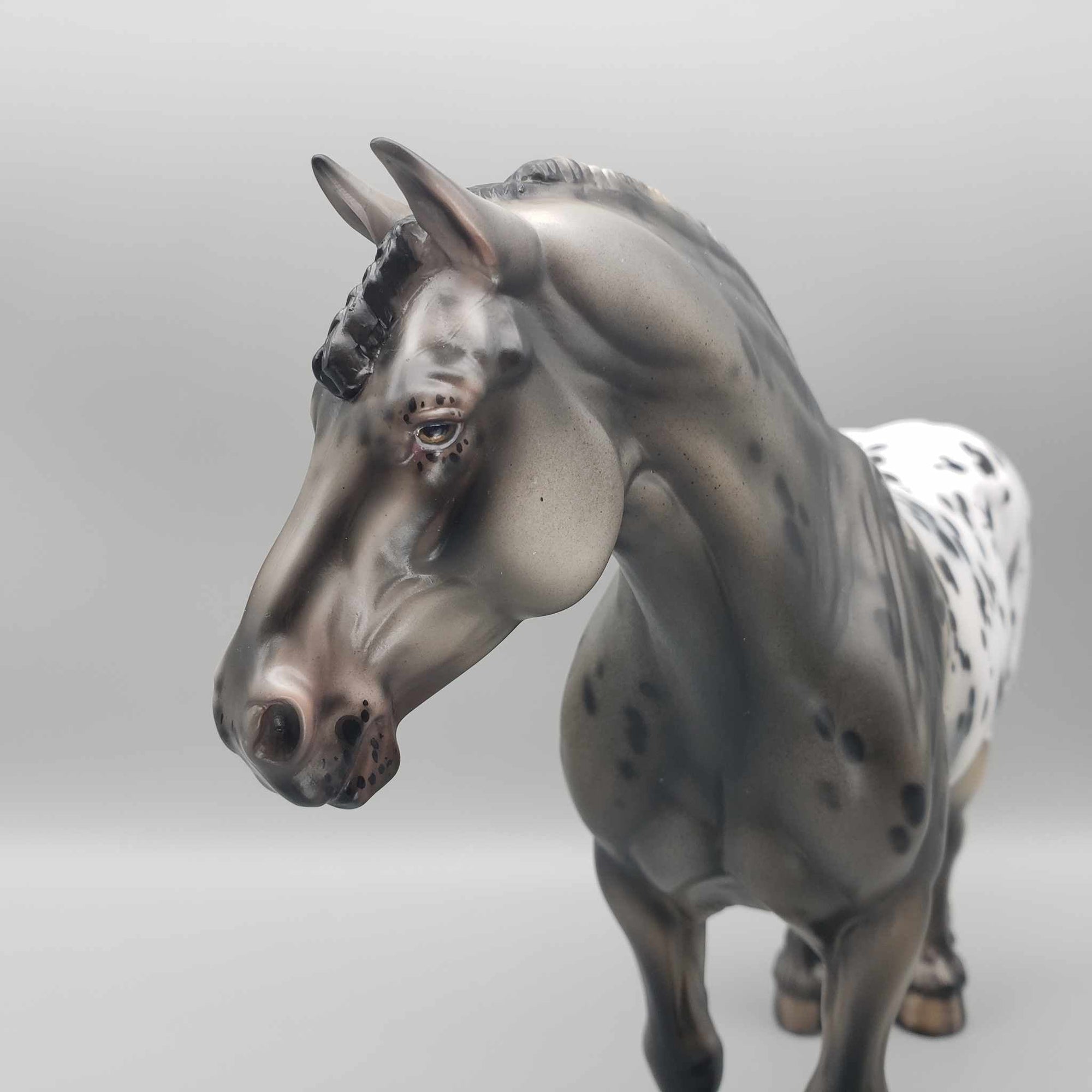 Hui Hui OOAK Black Appaloosa Heavy Draft By Julie Keim Best Offers 9/5/23