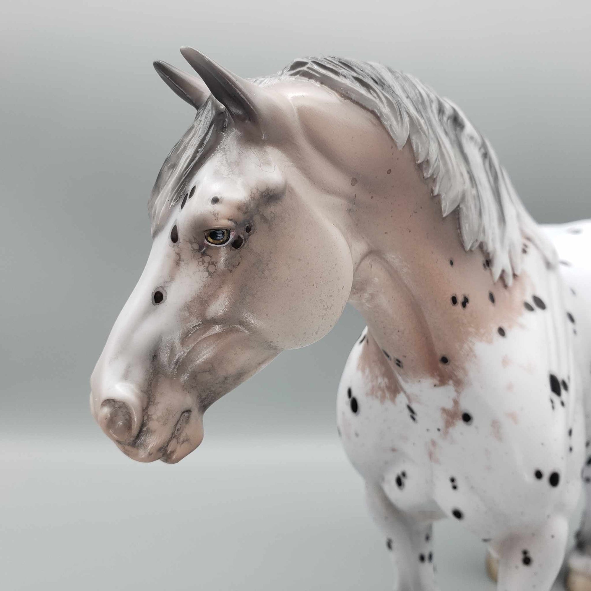 Chalice OOAK Noriker Appaloosa Heavy Draft By Jess Hamill Best Offers 9/5/23