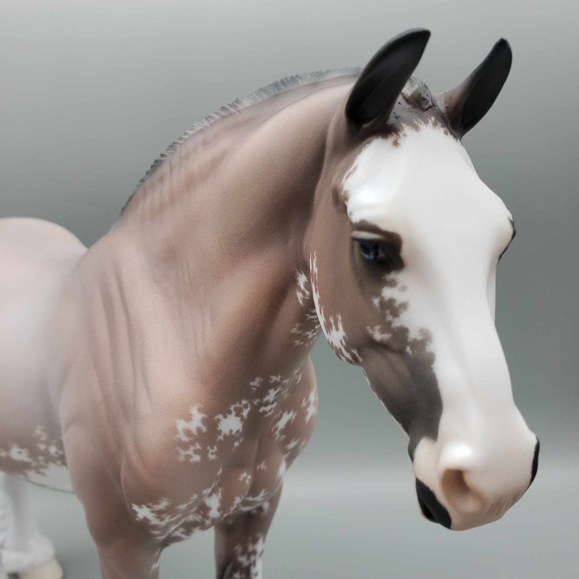 Anastasia OOAK Bay Sabino Heavy Draft By Jess Hamill Fall Facebook Auction 9/23