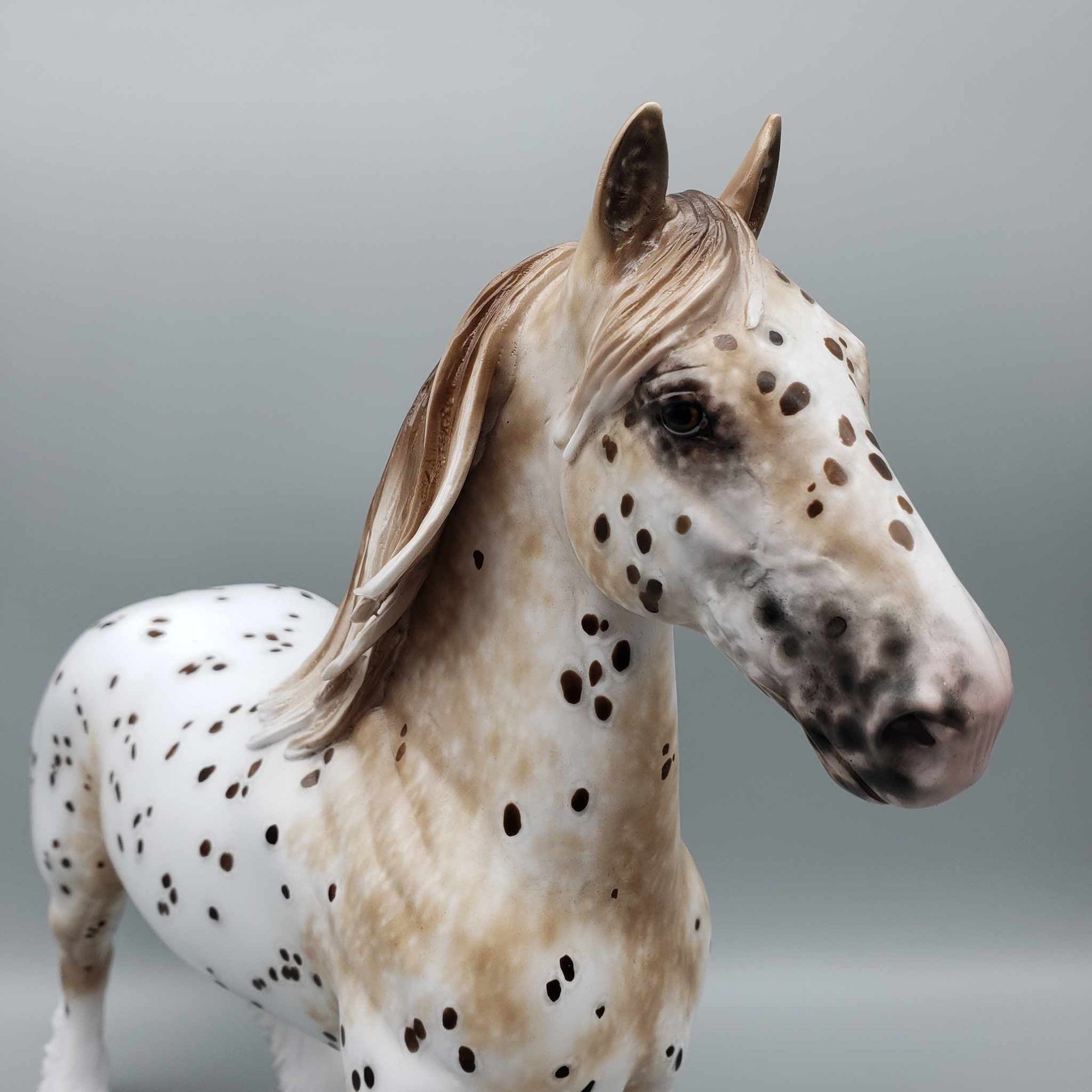 Chips Ahoy OOAK Appaloosa Clydesdale Trotting Drafter By Sheryl Leisure Best Offers 9/5/23