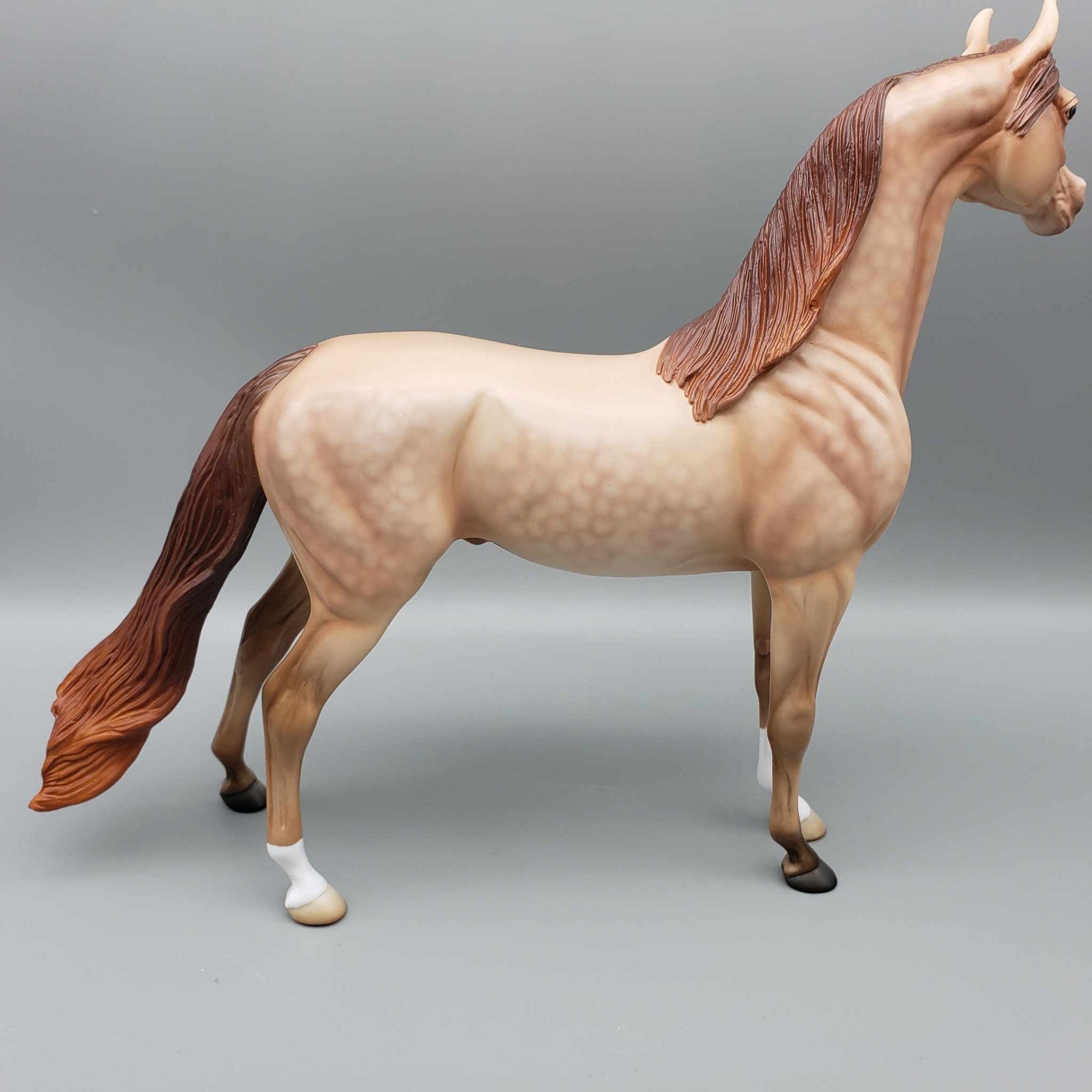 Ettore Dappled Amber Champagne Arabian Stallion By Angela Marelau Fall Into Autumn Random Drop Sale 9/23