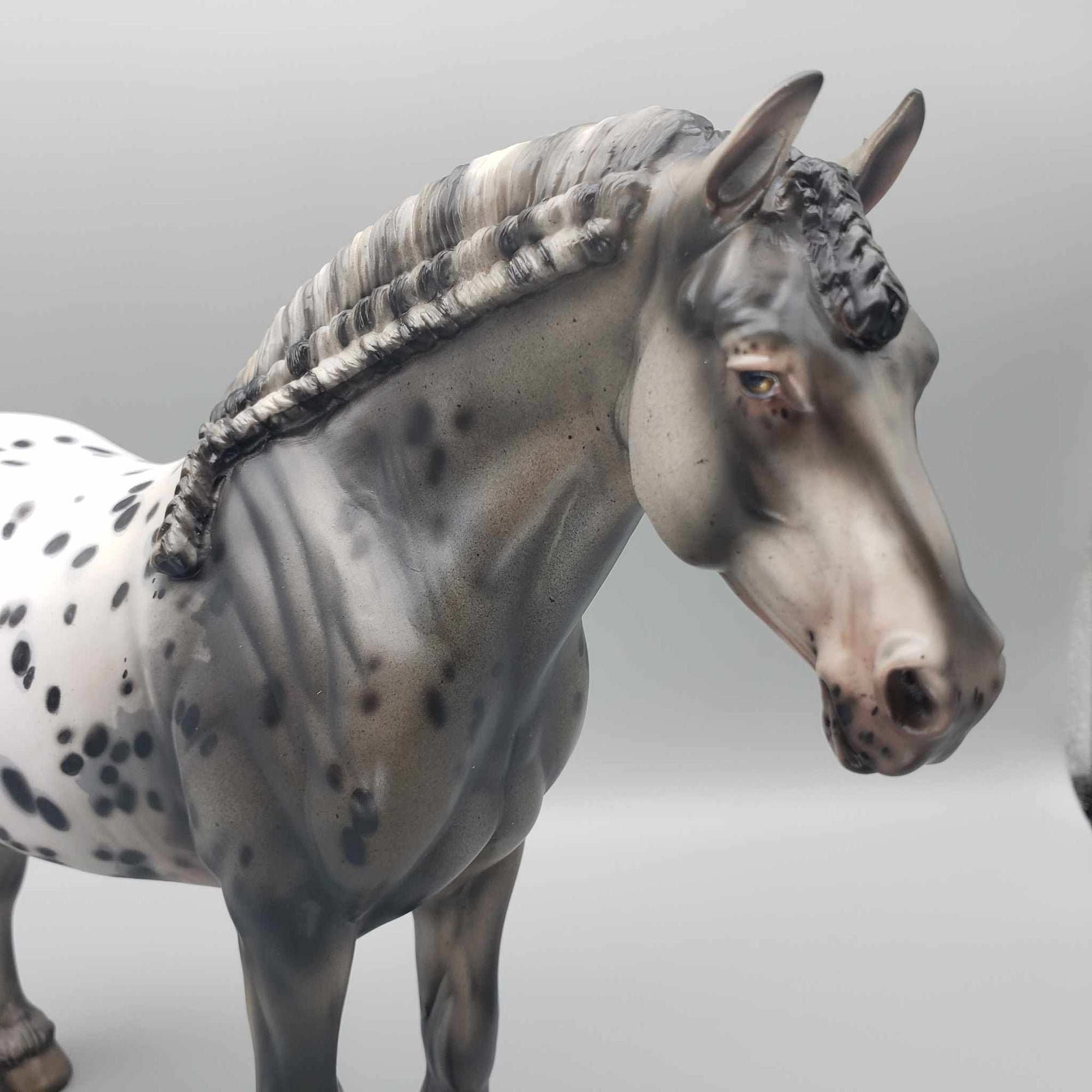 Hui Hui OOAK Black Appaloosa Heavy Draft By Julie Keim Best Offers 9/5/23