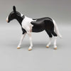 MINI Kloissonne LE10 Black Tobiano Mule Chip By Angela Marleau AoTH23