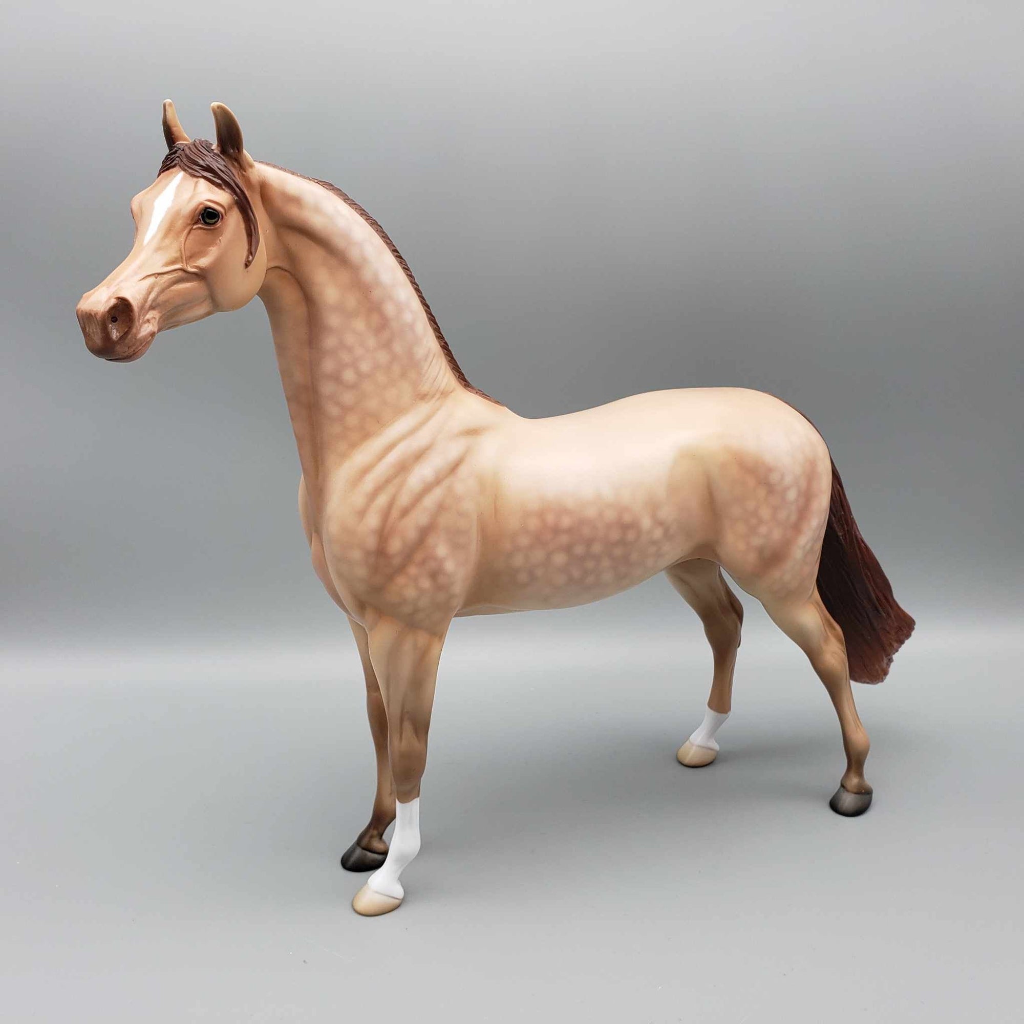 Ettore Dappled Amber Champagne Arabian Stallion By Angela Marelau Fall Into Autumn Random Drop Sale 9/23