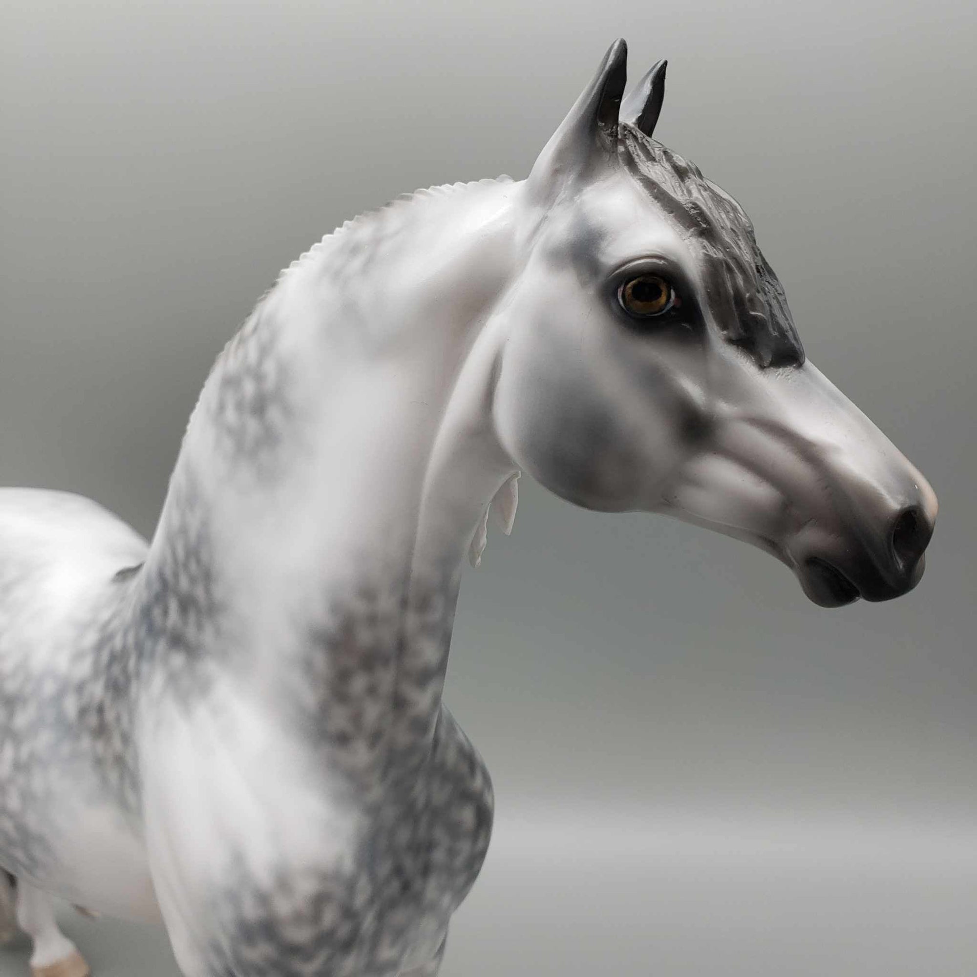 Cainhurst OOAK Dappled Grey Morgan By Jess Hamill Best Offer 11/27/23