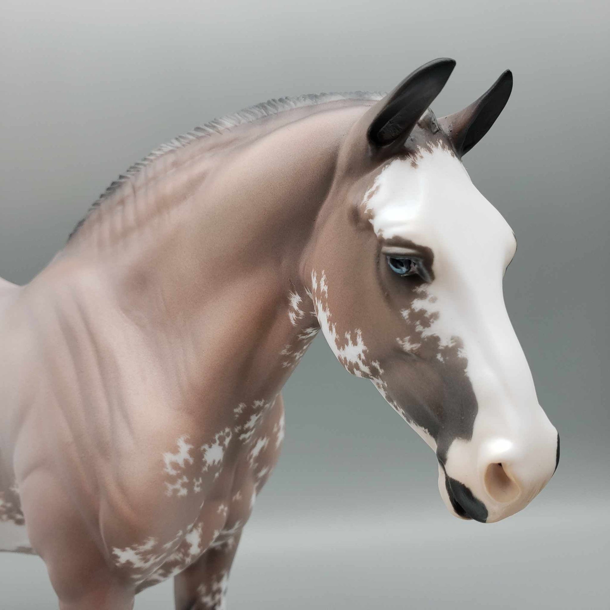 Anastasia OOAK Bay Sabino Heavy Draft By Jess Hamill Fall Facebook Auction 9/23