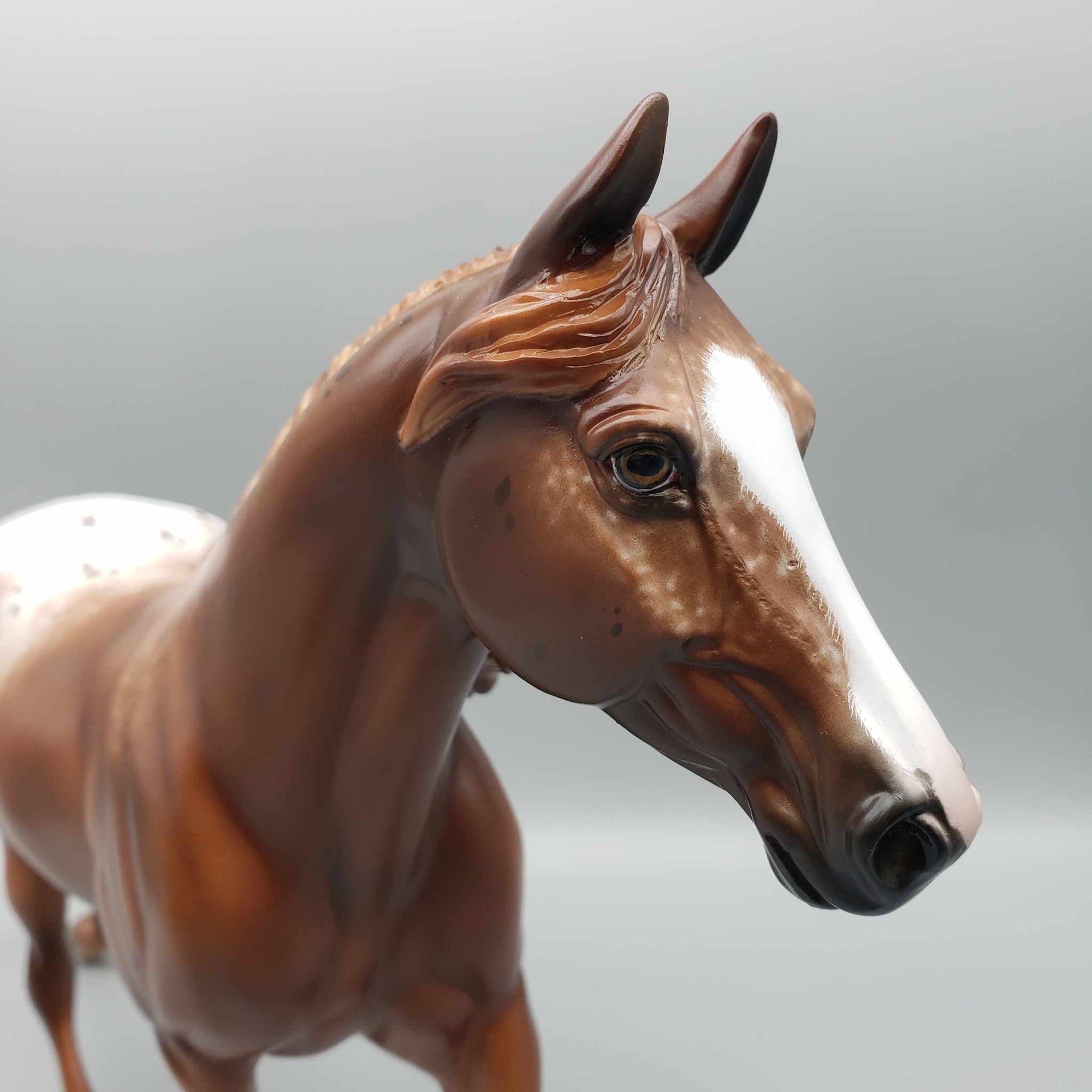 Chocolate Sprinkles OOAK Appaloosa Palouse By Sheryl Leisure Best Offers 9/5/23