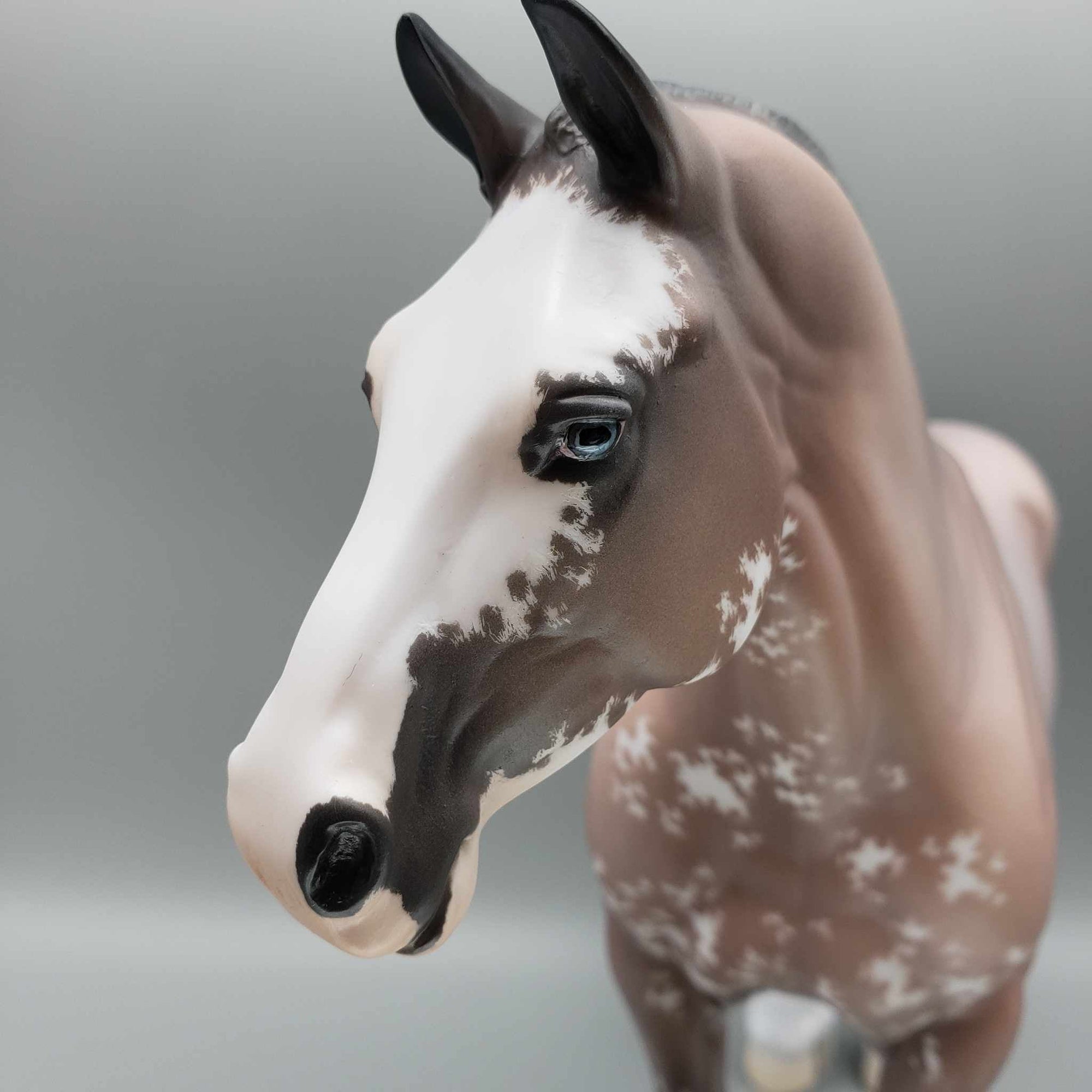 Anastasia OOAK Bay Sabino Heavy Draft By Jess Hamill Fall Facebook Auction 9/23