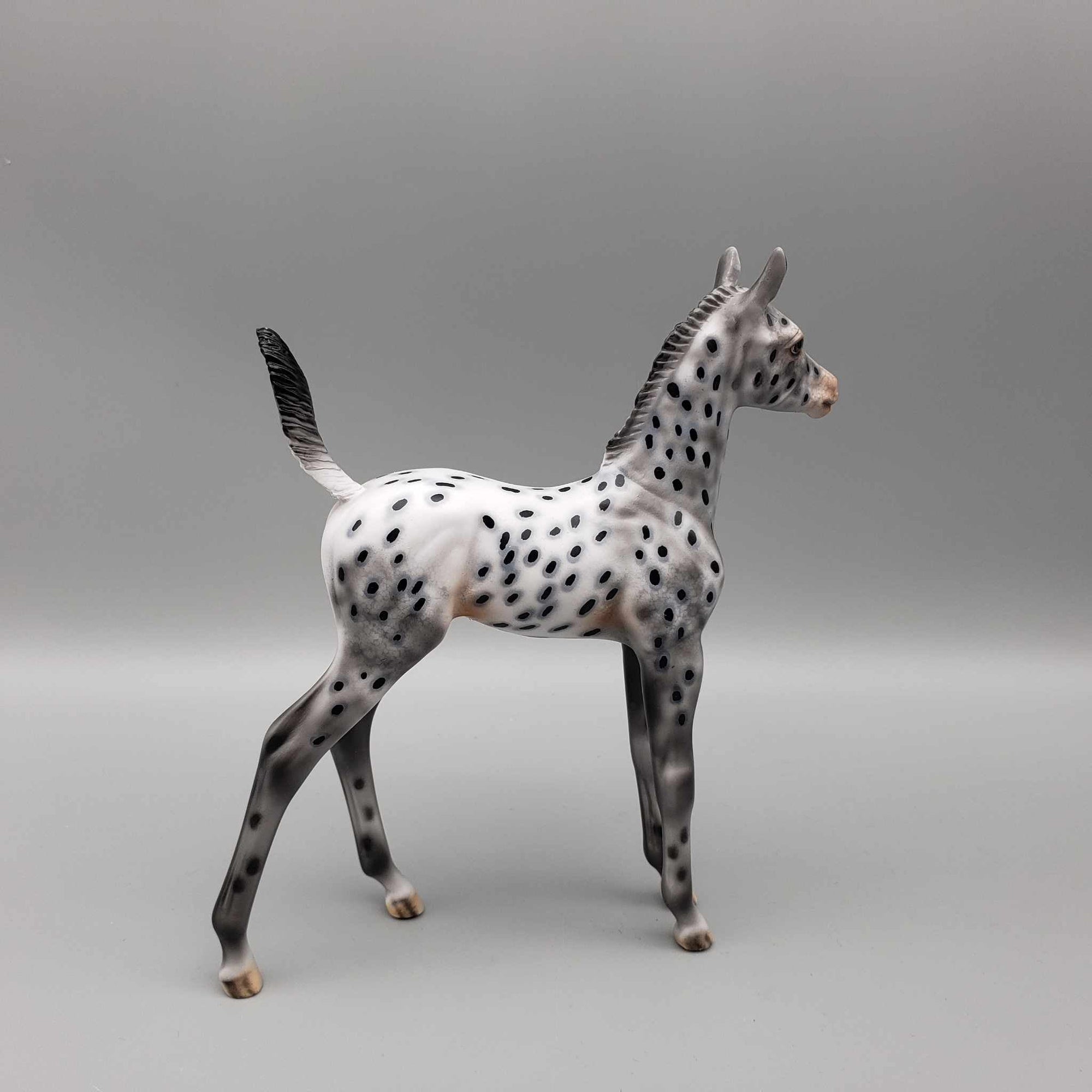 Pebbles OOAK Appaloosa Arab Foal By Dawn Quick Fall Into Autumn Random Drop Sale 9/23