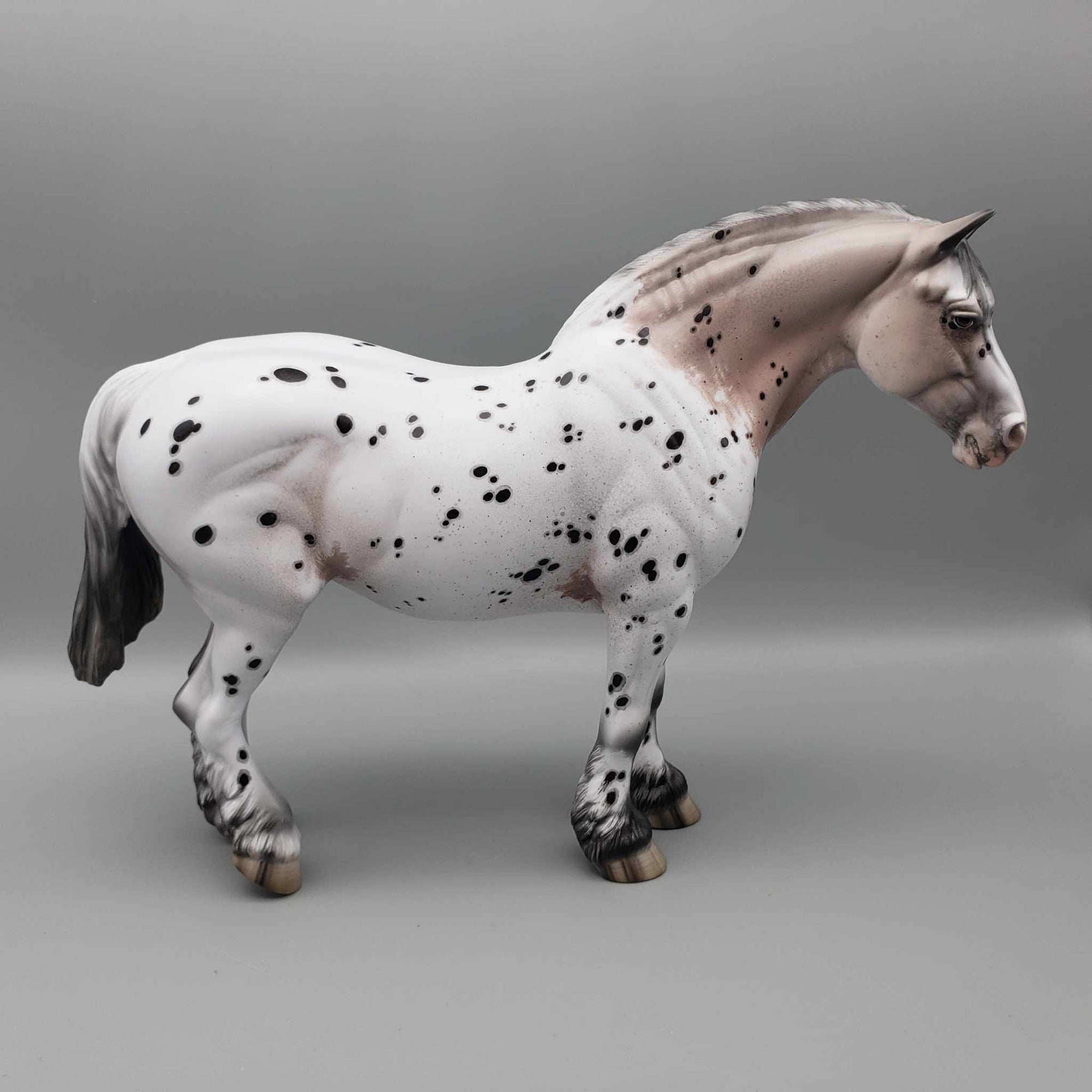 Chalice OOAK Noriker Appaloosa Heavy Draft By Jess Hamill Best Offers 9/5/23