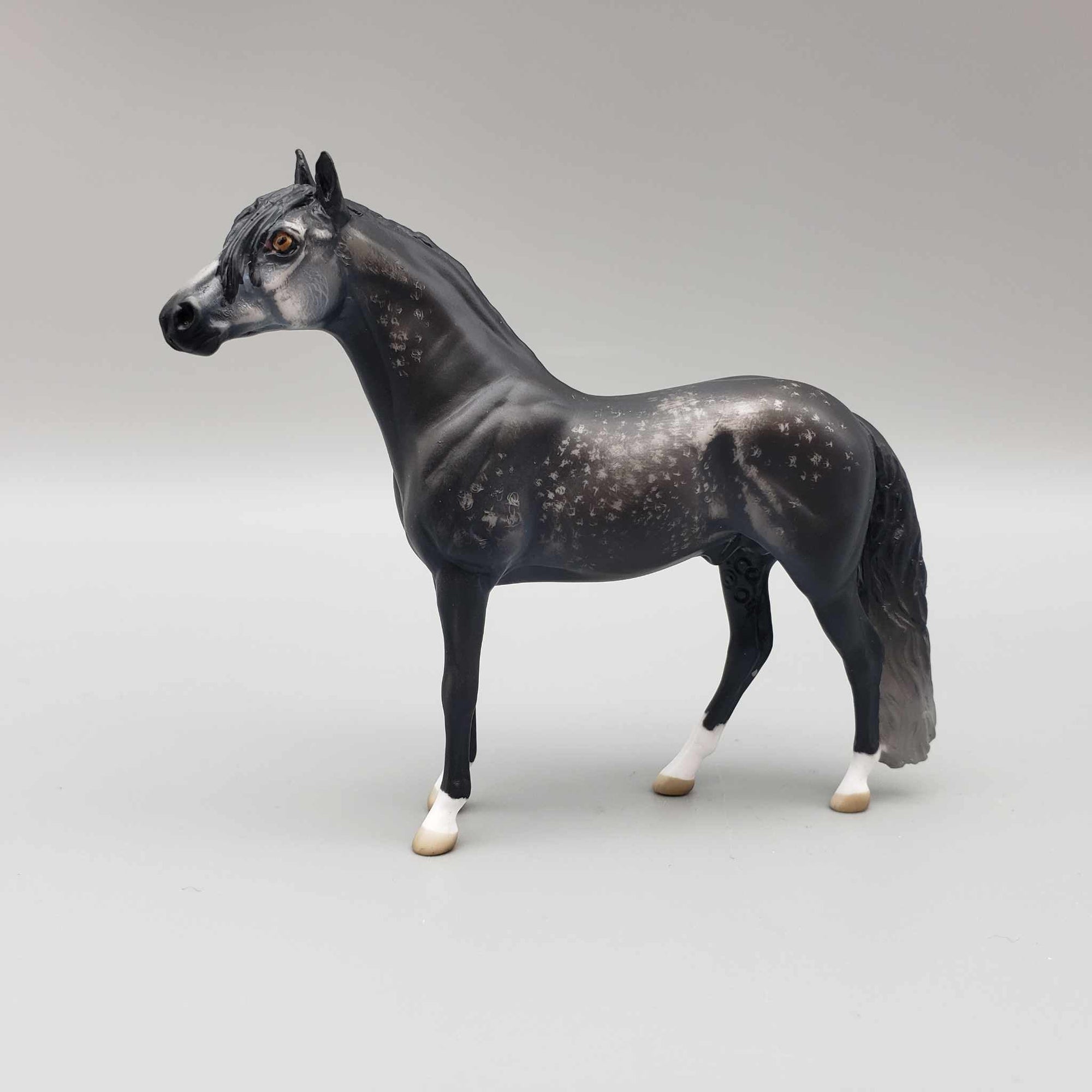 Hortensio OOAK Etched Dark Dappled Grey Andalusian Chip By Jess Hamill Fall Into Autumn Random Drop Sale 9/23