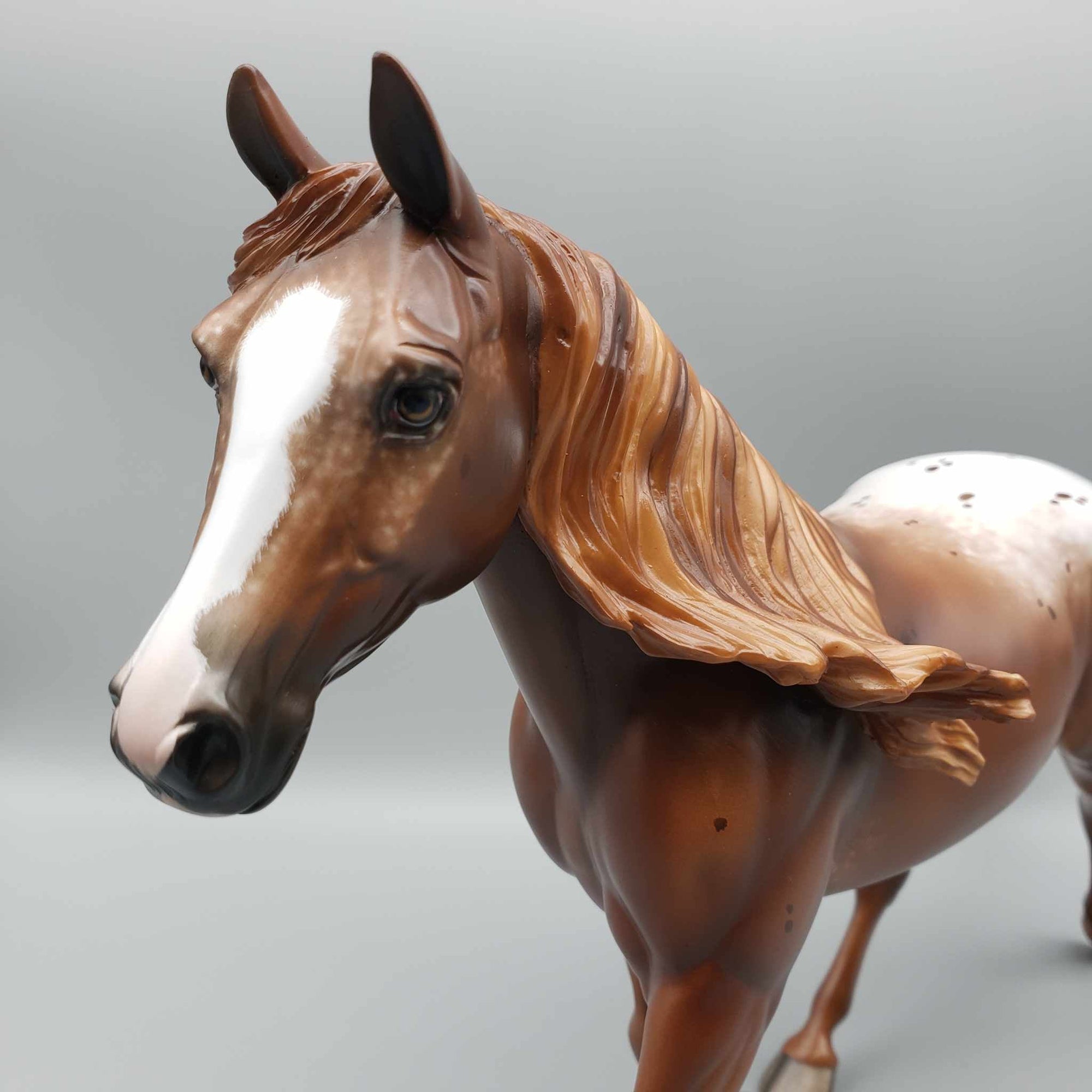 Chocolate Sprinkles OOAK Appaloosa Palouse By Sheryl Leisure Best Offers 9/5/23