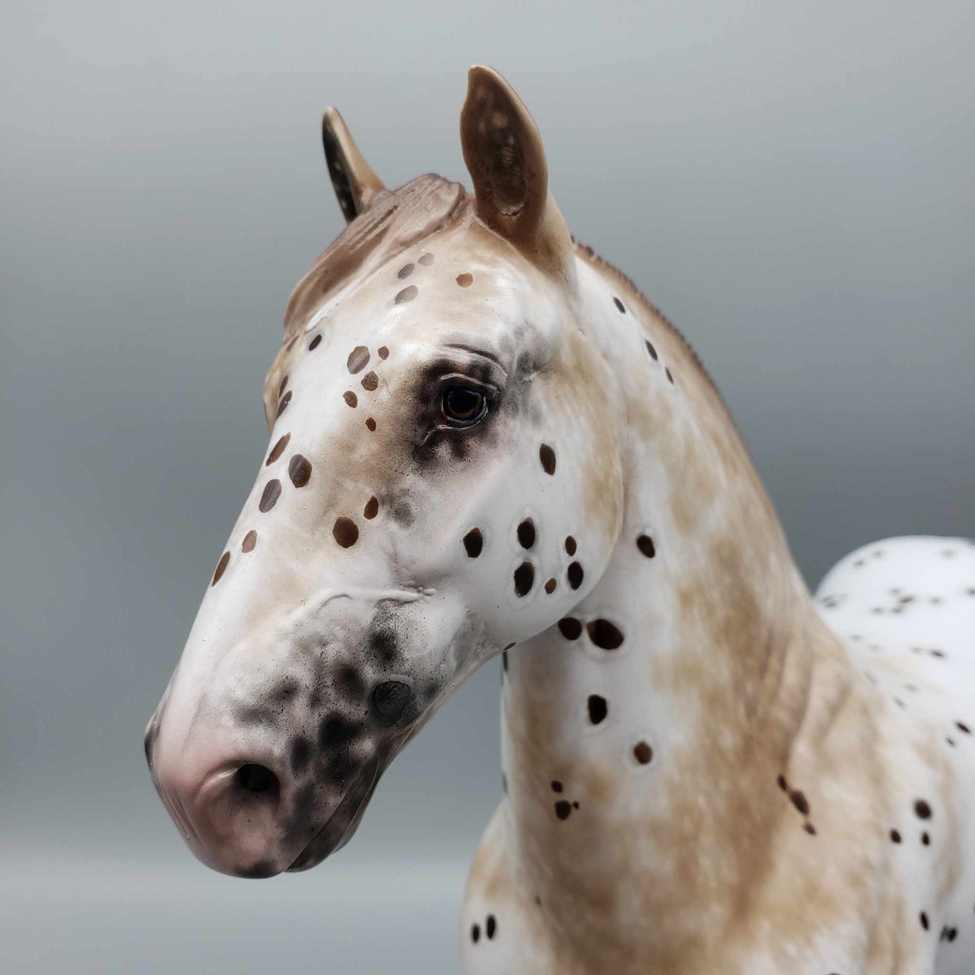 Chips Ahoy OOAK Appaloosa Clydesdale Trotting Drafter By Sheryl Leisure Best Offers 9/5/23