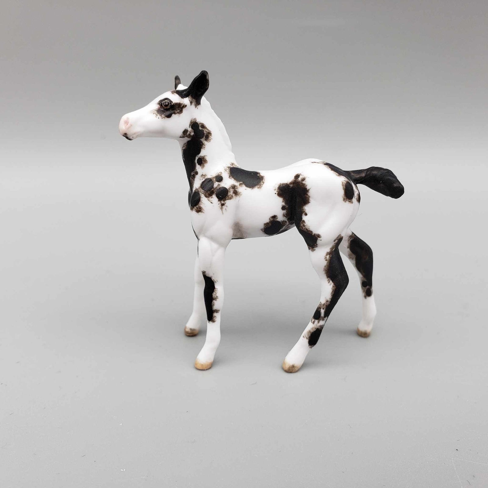 Keepsake OOAK Chip Foal Hand Painted and Customized by Andrea Thomason HS23