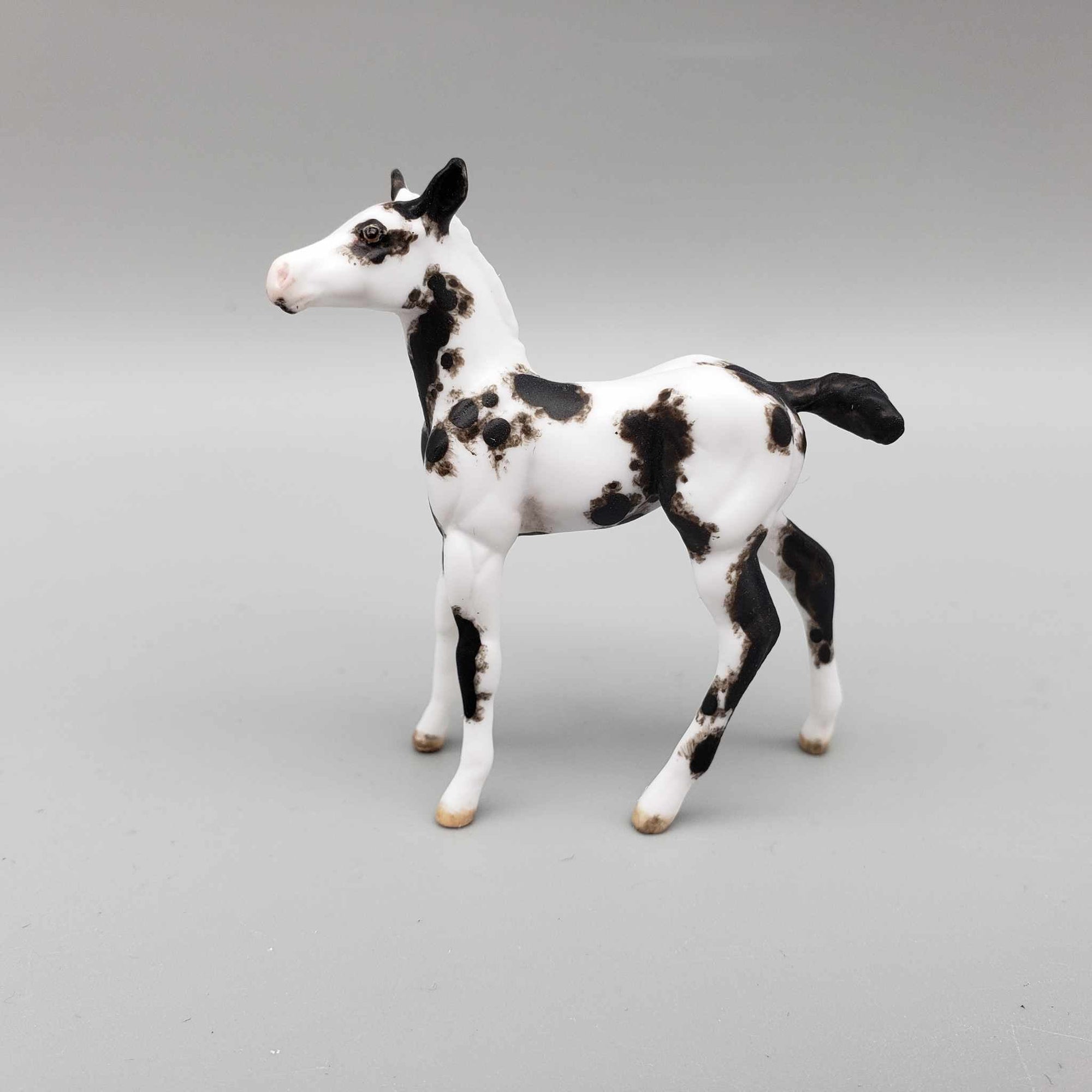 Keepsake OOAK Chip Foal Hand Painted and Customized by Andrea Thomason HS23