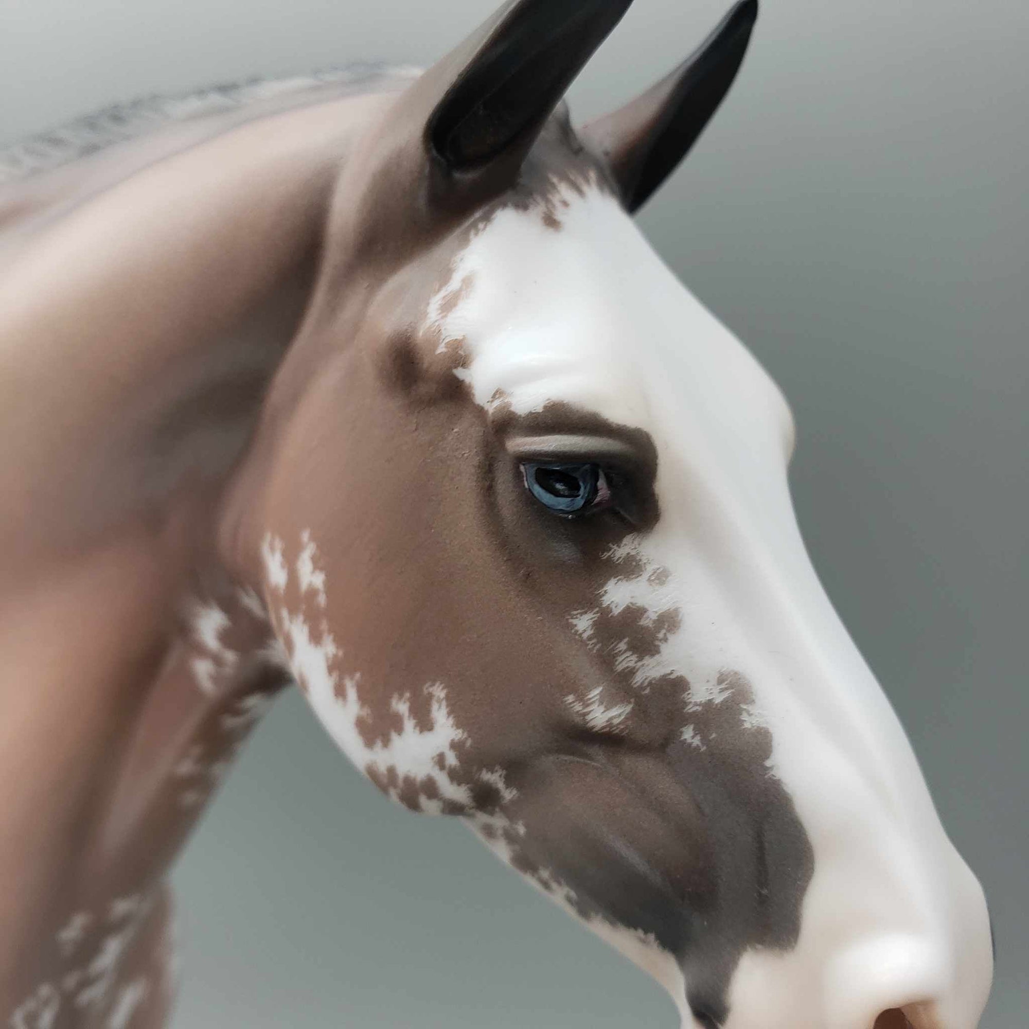 Anastasia OOAK Bay Sabino Heavy Draft By Jess Hamill Fall Facebook Auction 9/23