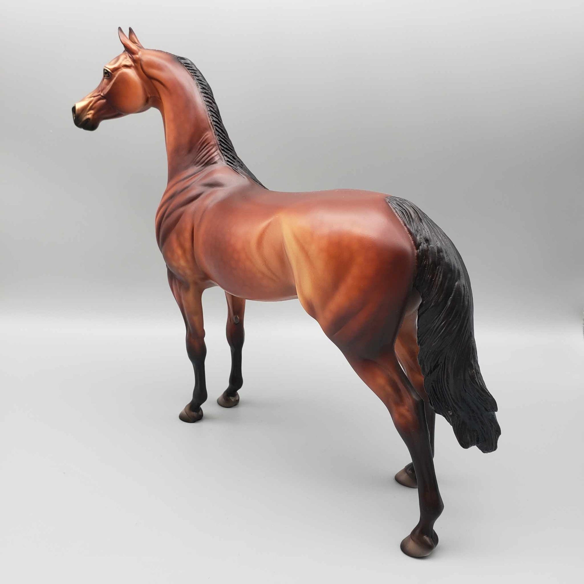 Oliver OOAK Bay Arabian Stallion By Dawn Quick Fall Into Autumn Random Drop Sale 9/23