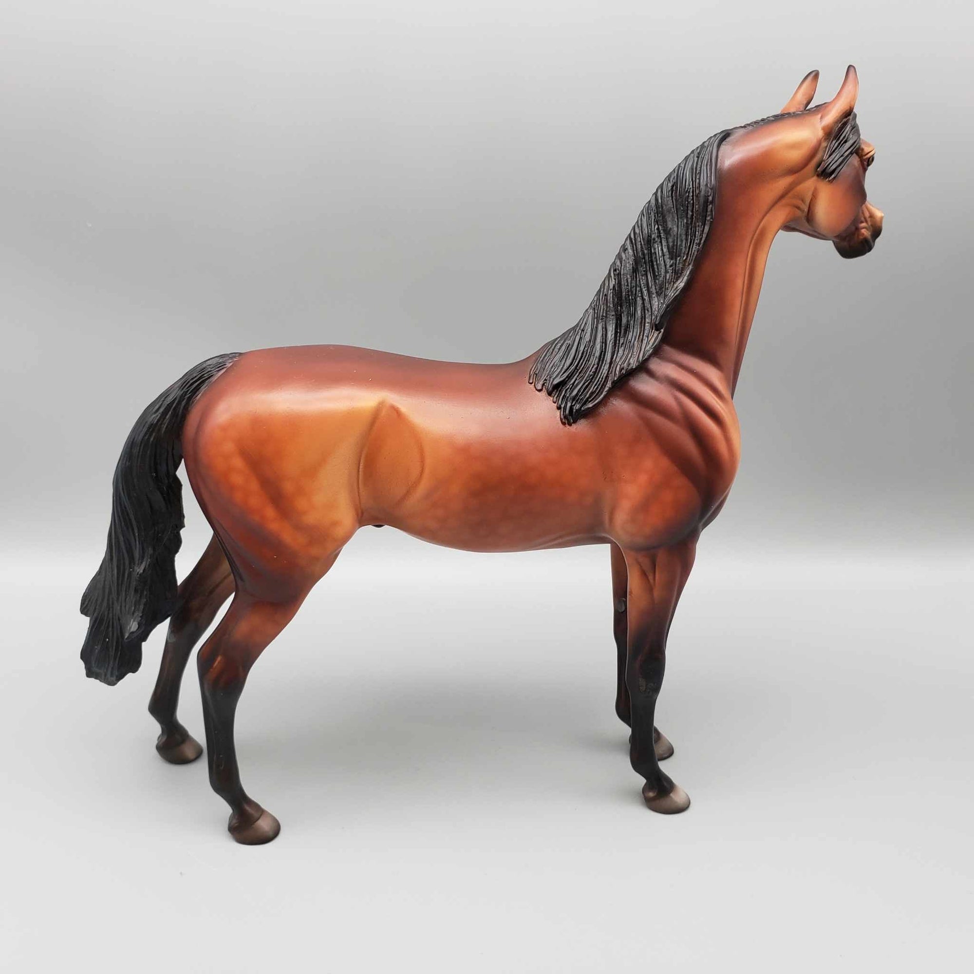 Oliver OOAK Bay Arabian Stallion By Dawn Quick Fall Into Autumn Random Drop Sale 9/23