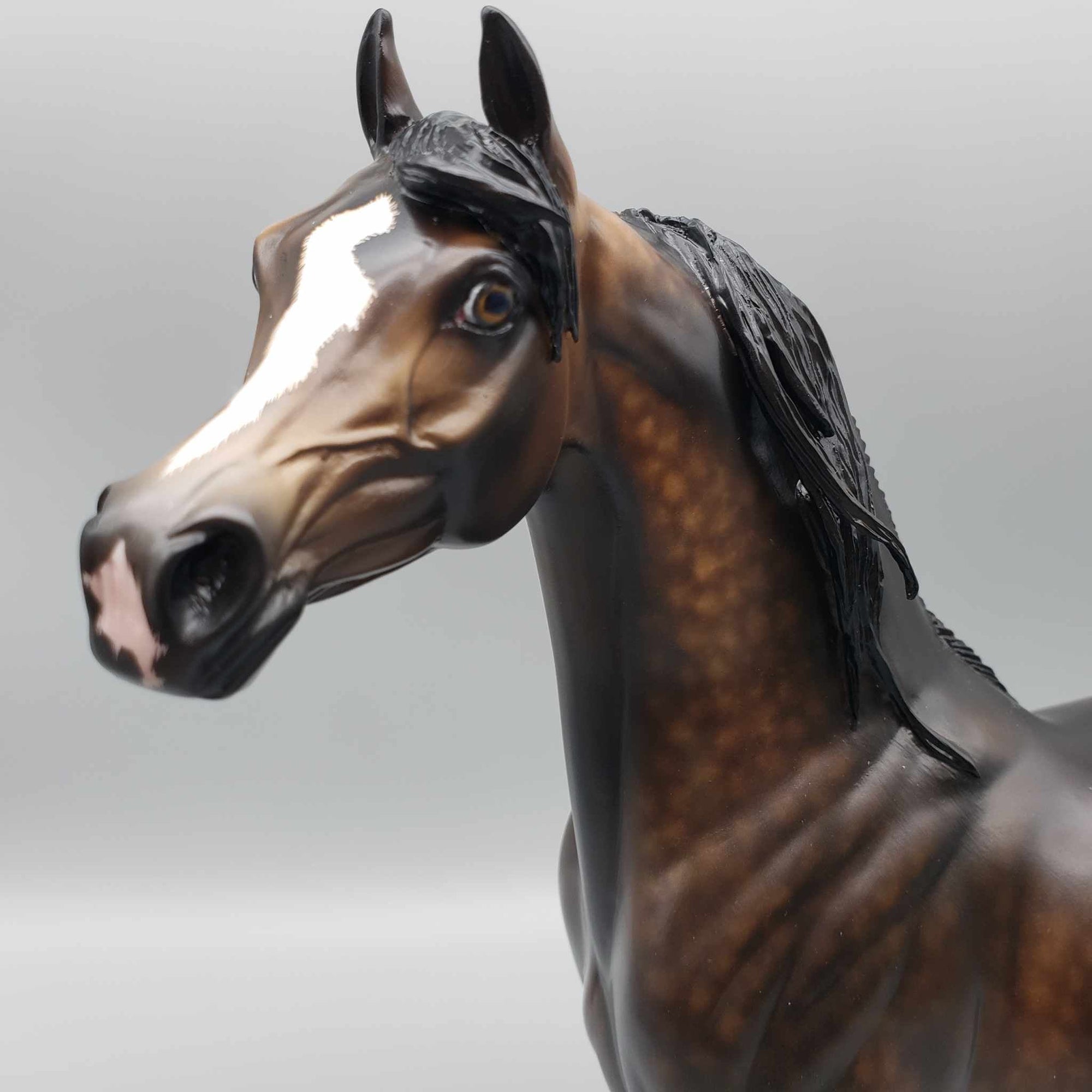 Chocotastic OOAK Dappled Bay Arabian By Sheryl Leisure Best Offers 9/5/23