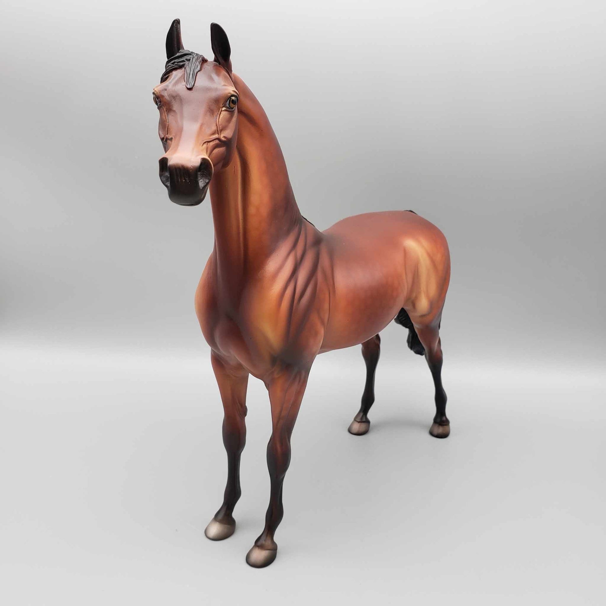 Oliver OOAK Bay Arabian Stallion By Dawn Quick Fall Into Autumn Random Drop Sale 9/23