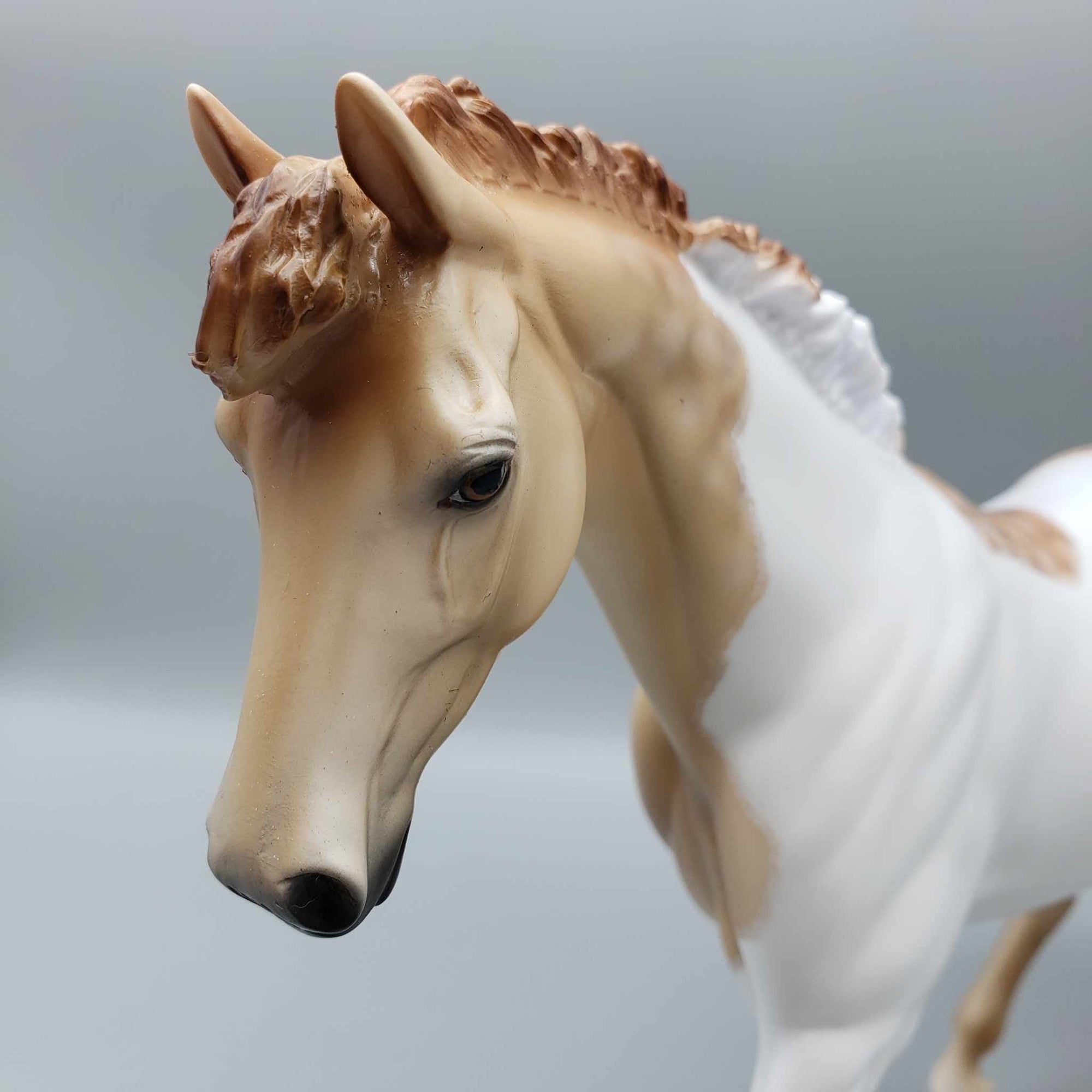 Fio Dappled Tobiano Pony By Dawn Quick Fall Into Autumn Random Drop Sale 9/23