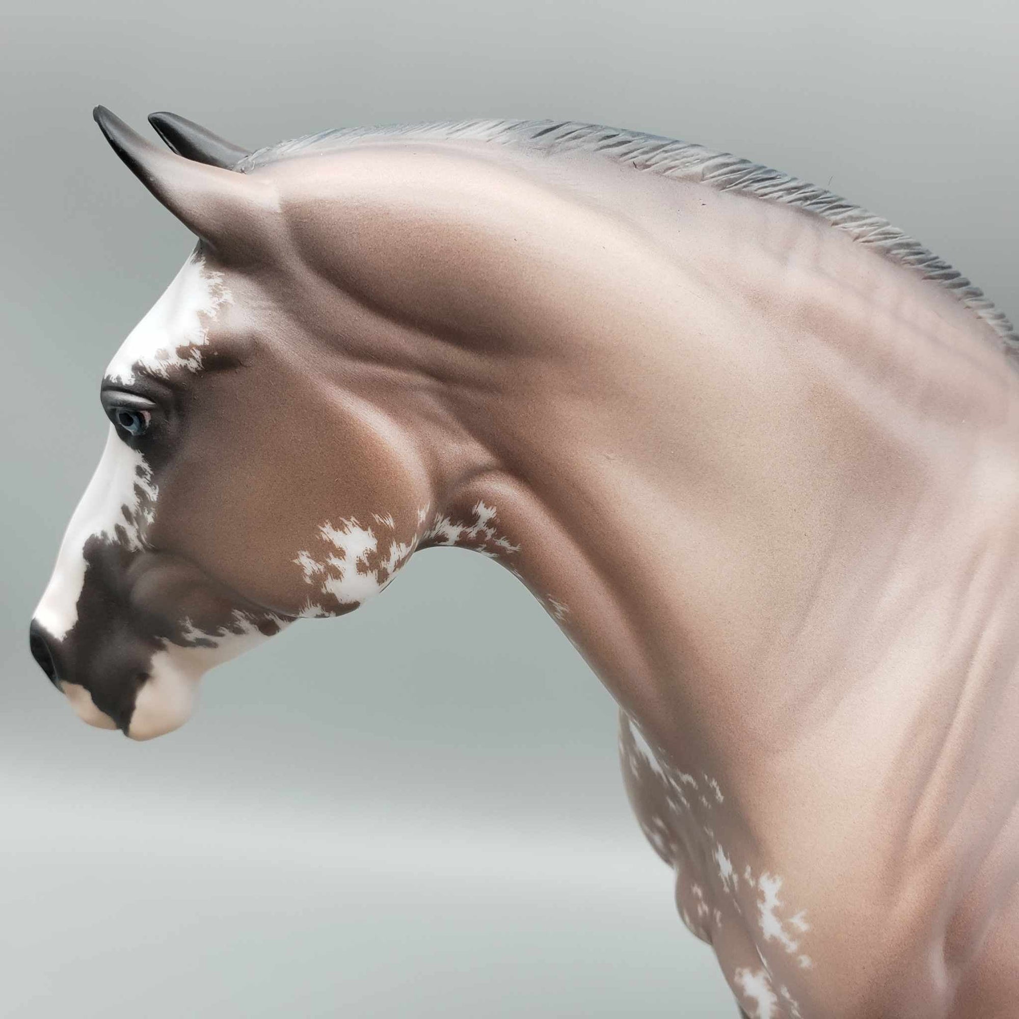 Anastasia OOAK Bay Sabino Heavy Draft By Jess Hamill Fall Facebook Auction 9/23