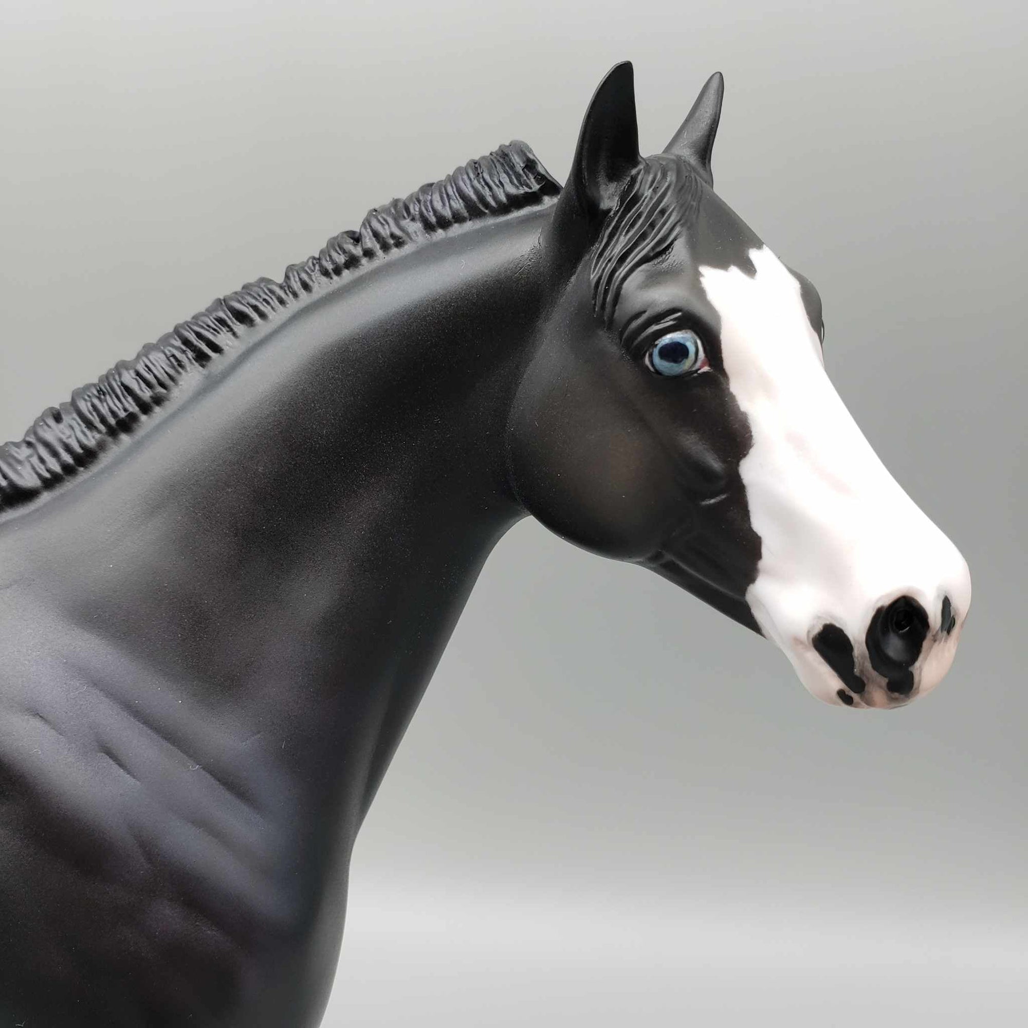 Jotaro Black Ideal Stock Horse By Jess Hamill Custom Fall Into Autumn Random Drop Sale 9/23