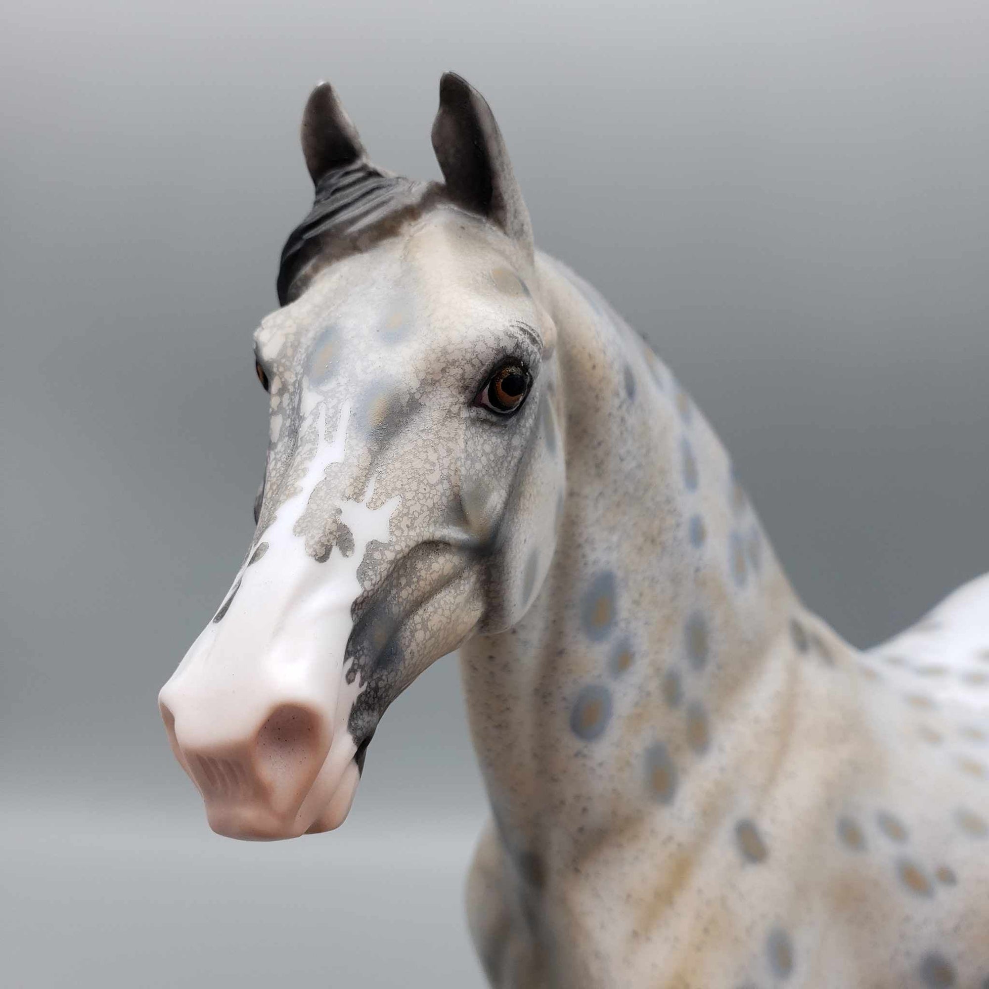 Just By Chance OOAK Appaloosa Morgan By Dawn Quick Fall Into Autumn Random Drop Sale 9/23