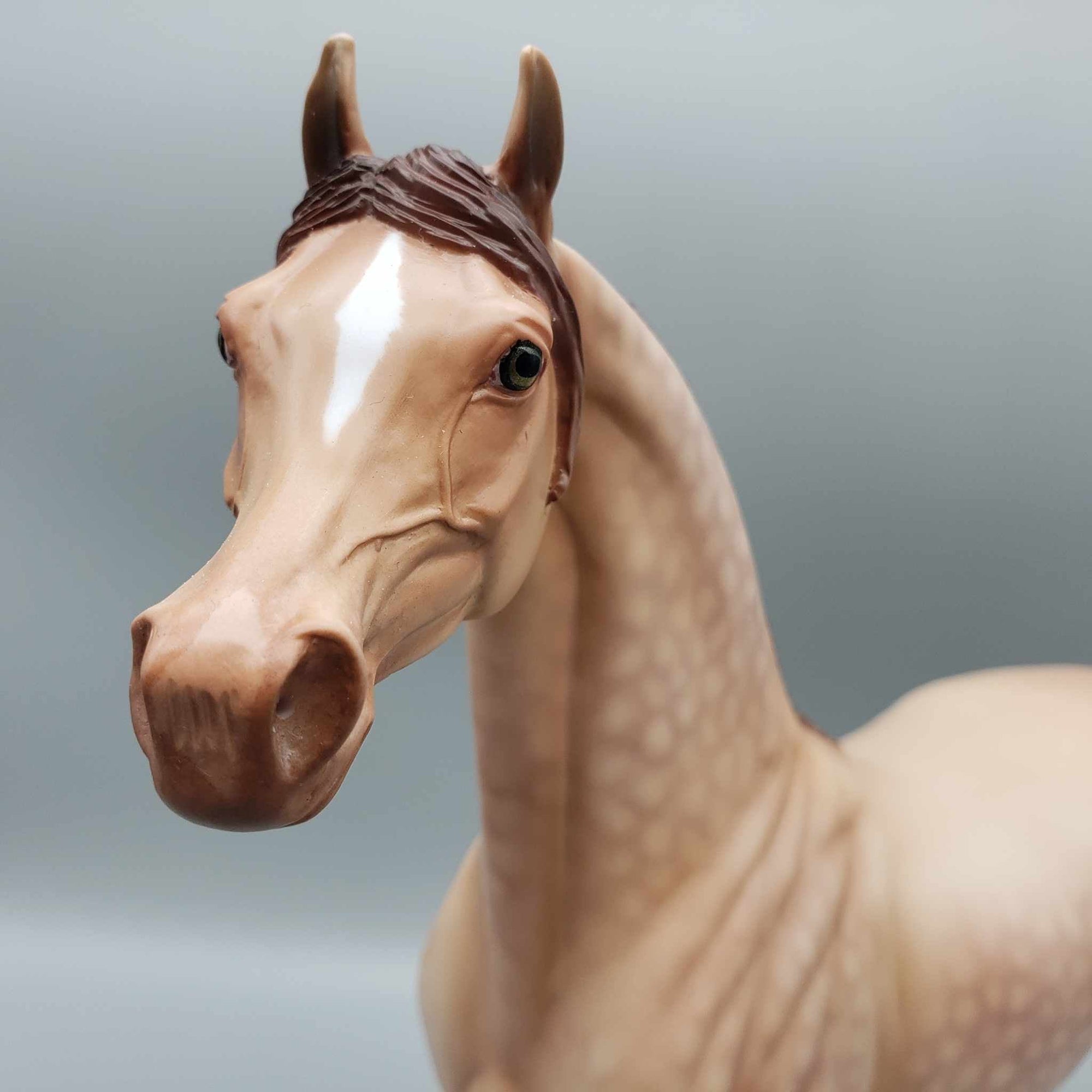 Ettore Dappled Amber Champagne Arabian Stallion By Angela Marelau Fall Into Autumn Random Drop Sale 9/23