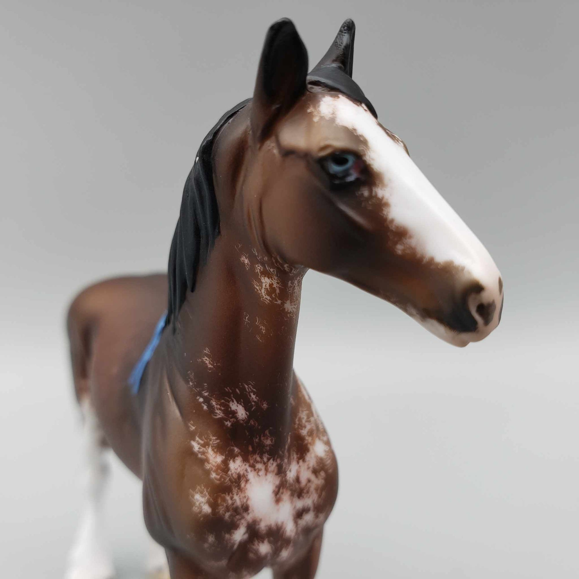 McGuire OOAK Bay Sabino Draft Chip By Jess Hamill Fall Facebook Auction 9/23