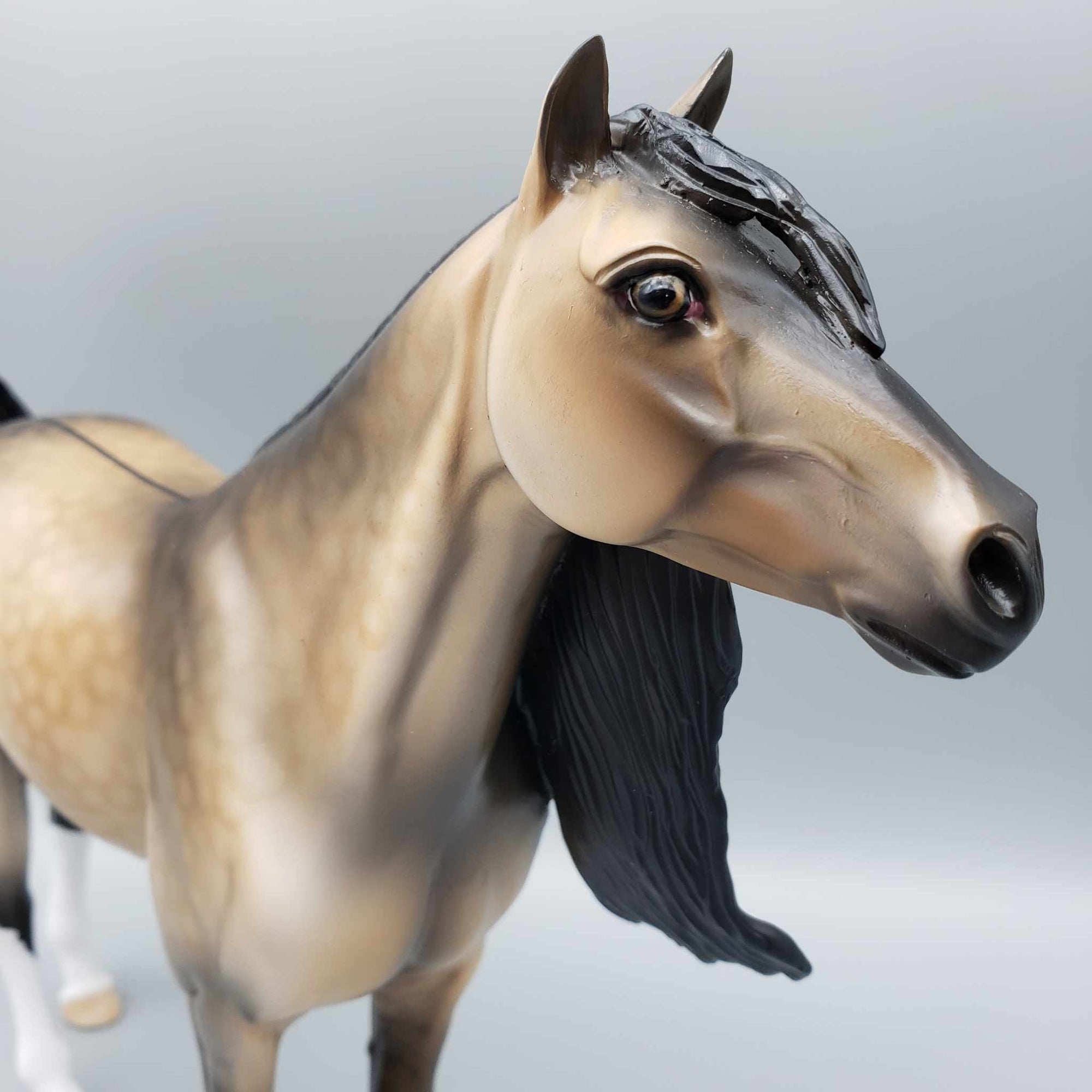 Orazio OOAK Buckskin Dun Spanish Mustang By Dawn Quick Fall Into Autumn Random Drop Sale 9/23