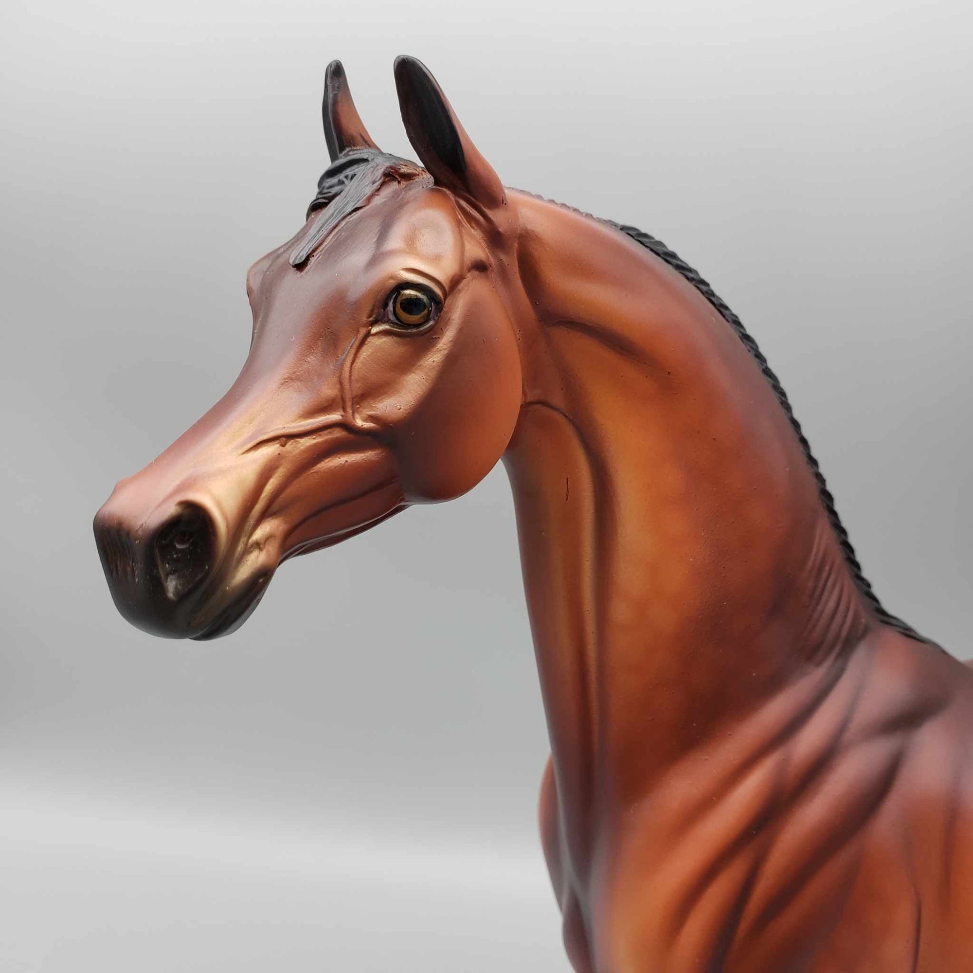 Oliver OOAK Bay Arabian Stallion By Dawn Quick Fall Into Autumn Random Drop Sale 9/23