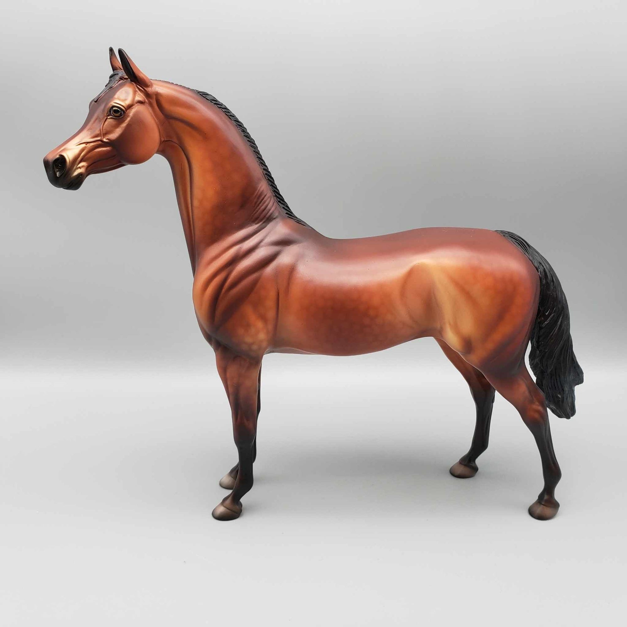 Oliver OOAK Bay Arabian Stallion By Dawn Quick Fall Into Autumn Random Drop Sale 9/23