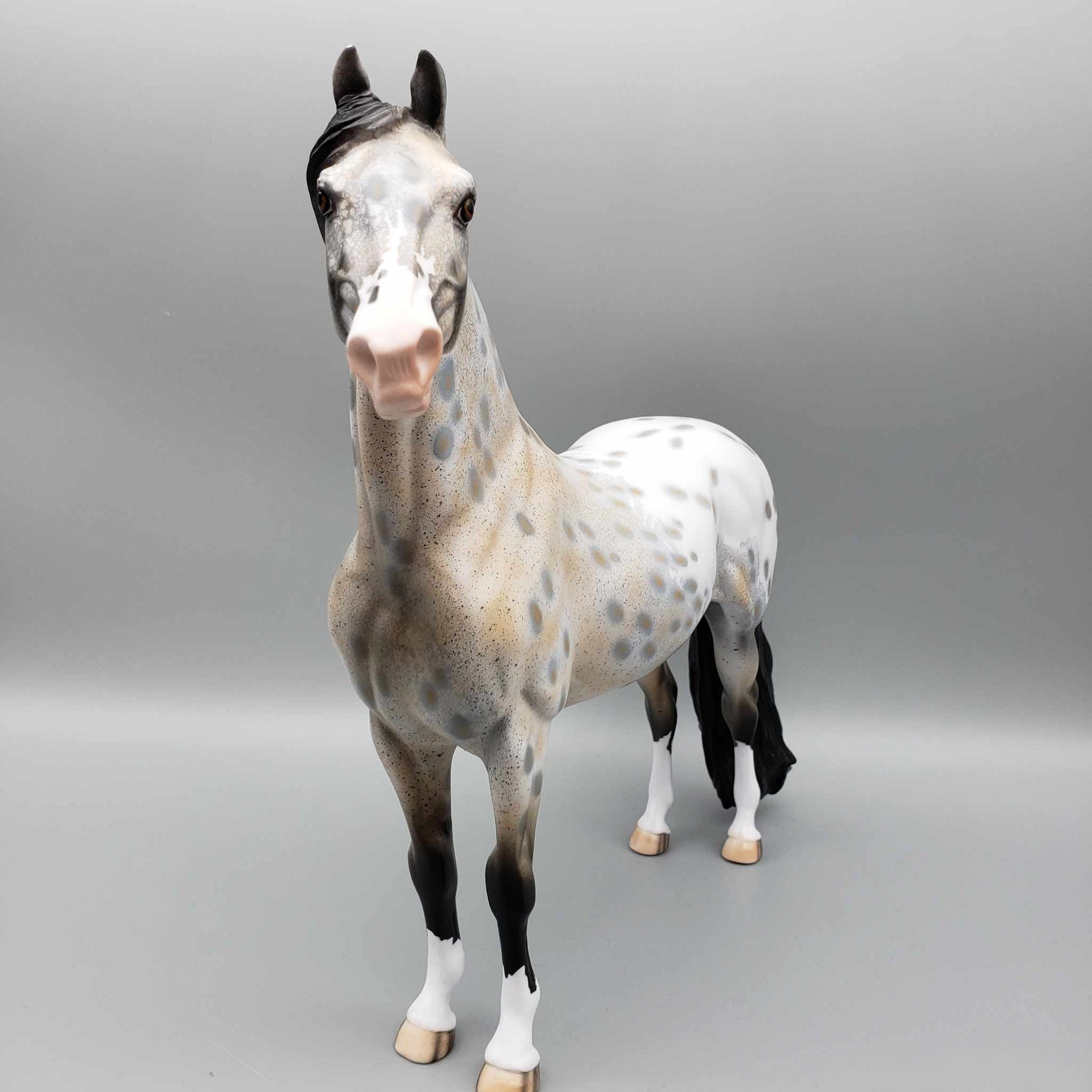 Just By Chance OOAK Appaloosa Morgan By Dawn Quick Fall Into Autumn Random Drop Sale 9/23