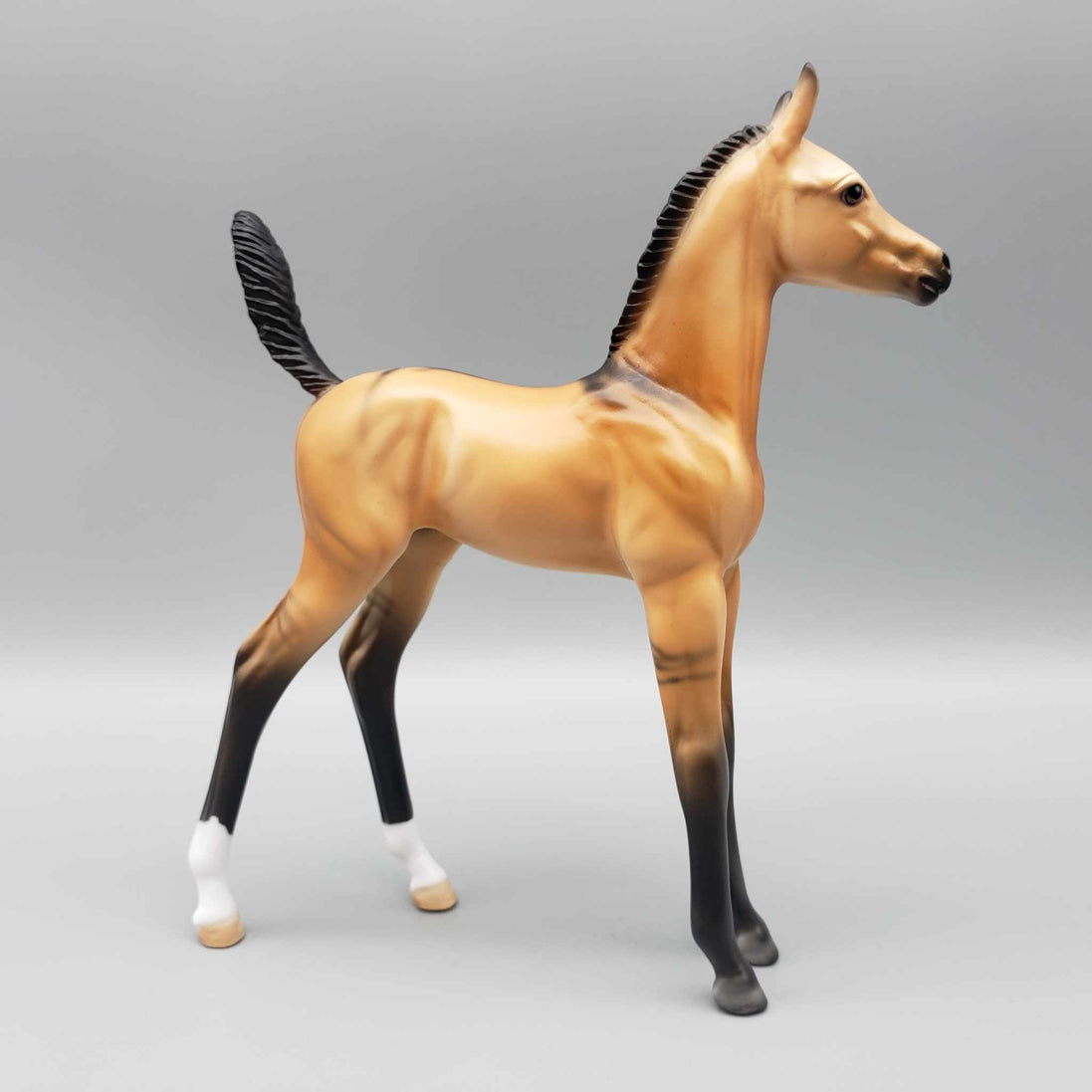 Ashton OOAK Dun Arab Foal By Dawn Quick Fall Into Autumn Random Drop Sale 9/23