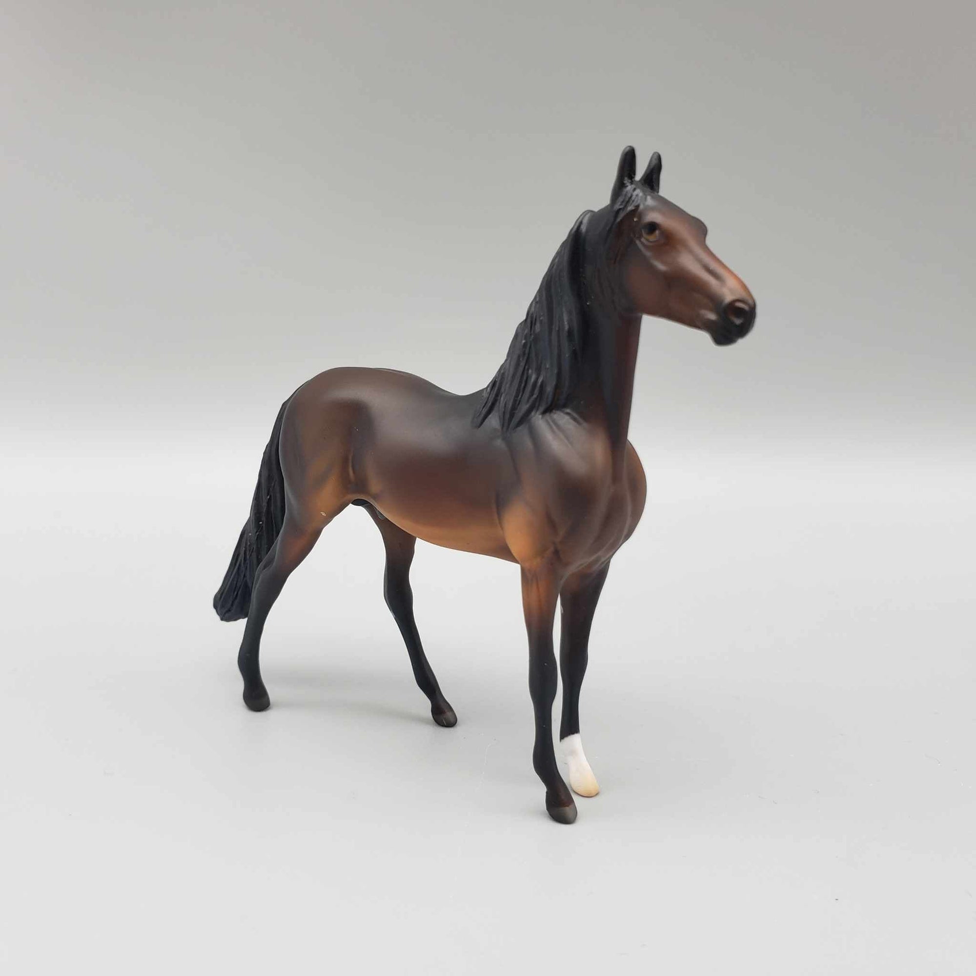 Martino OOAK Bay Morgan Chip By Angela Marelau Fall Into Autumn Random Drop Sale 9/23