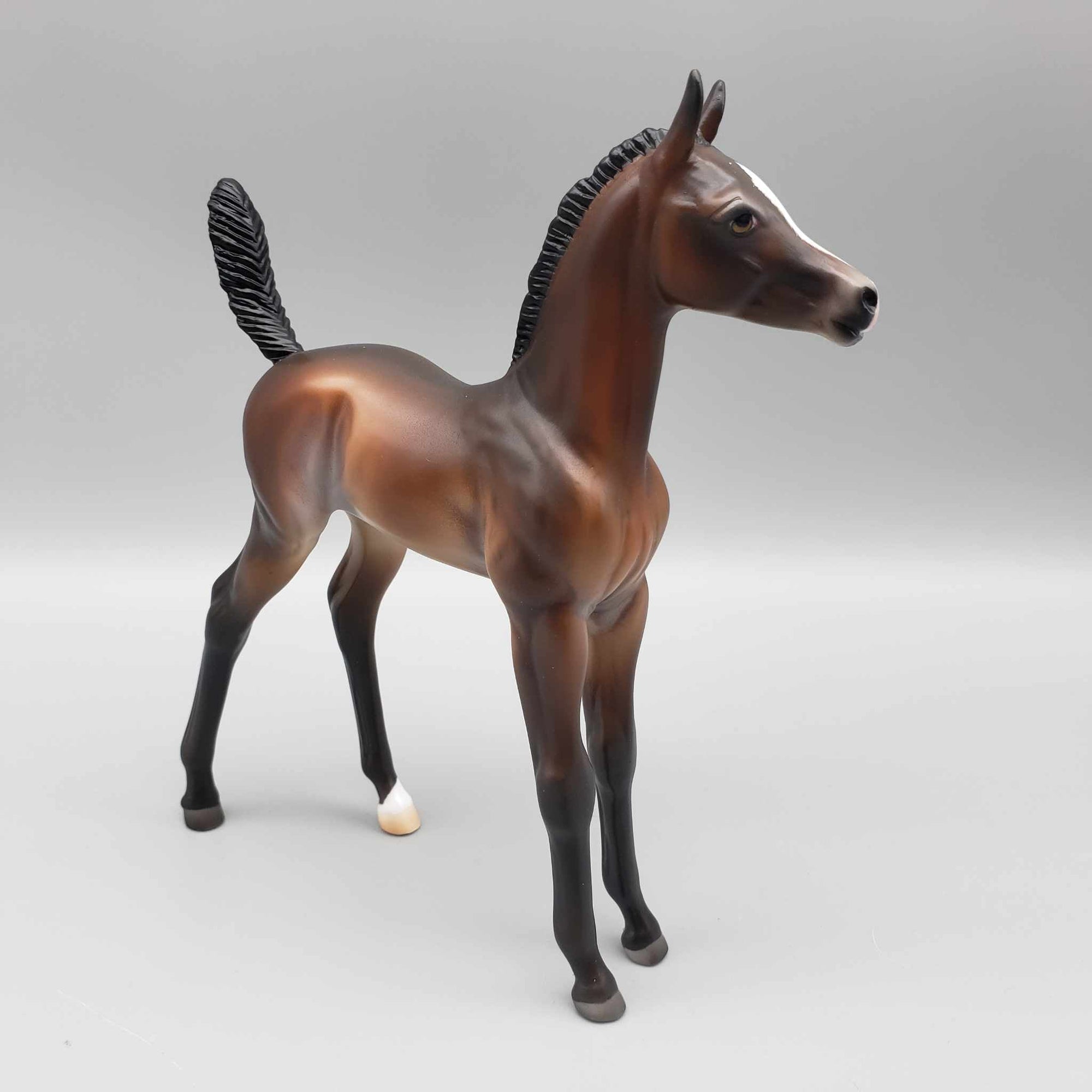 Starborne OOAK Bay Arab Foal By Ashley Palmer Fall Into Autumn Random Drop Sale 9/23